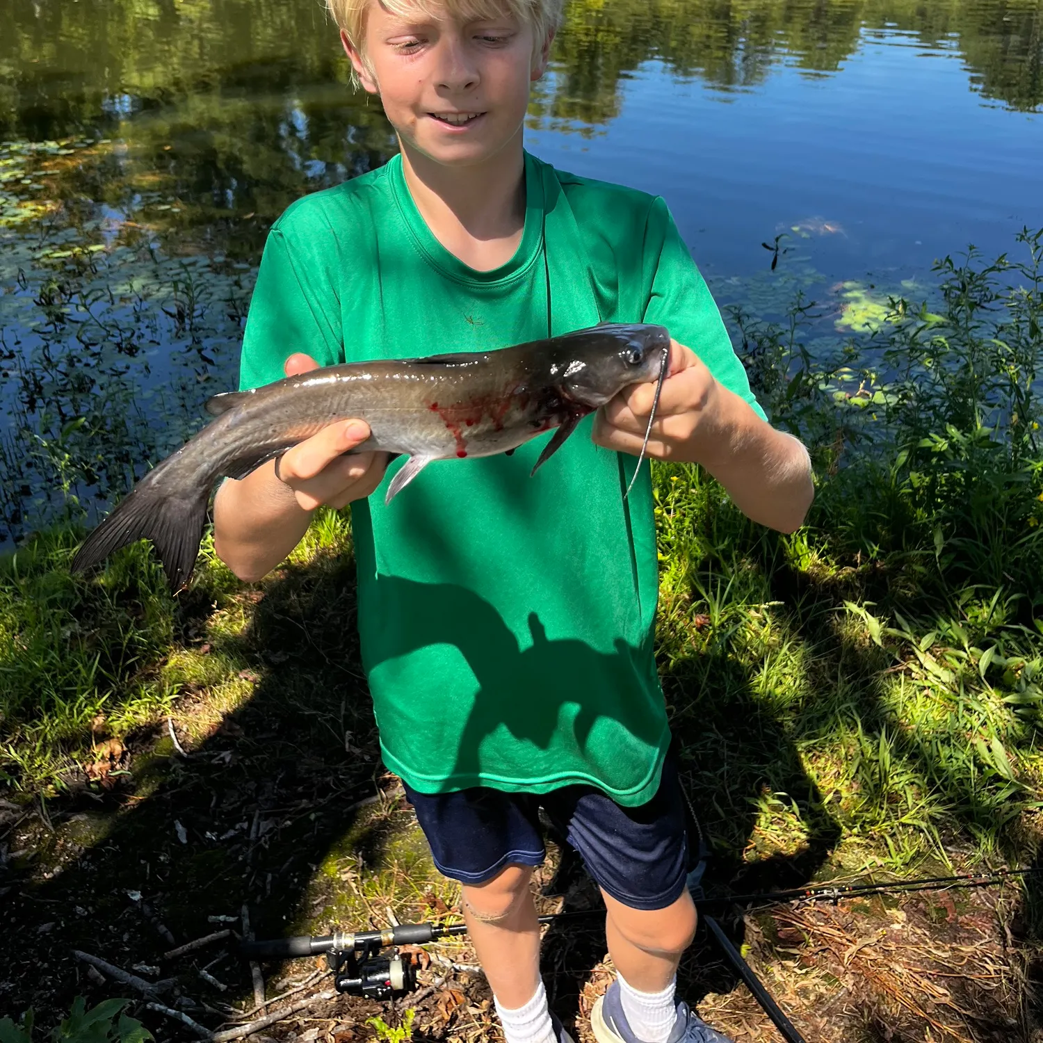 Channel catfish caught on Fishbrain