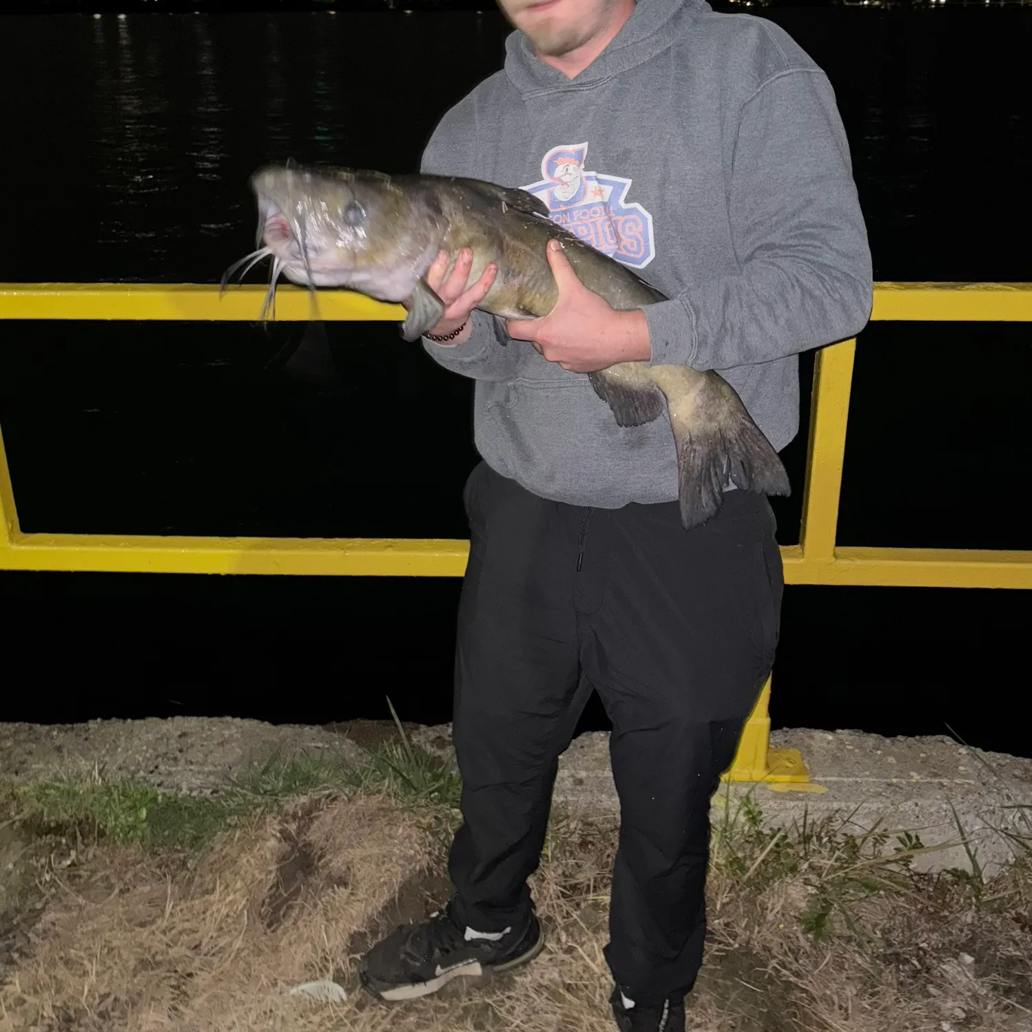 Channel catfish caught on Fishbrain