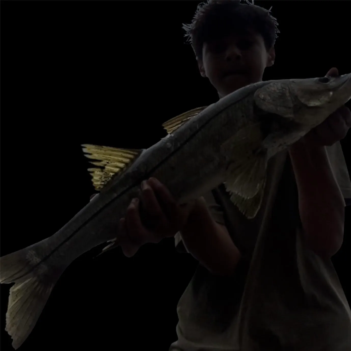 The most recent Hardhead sea catfish catches on Fishbrain