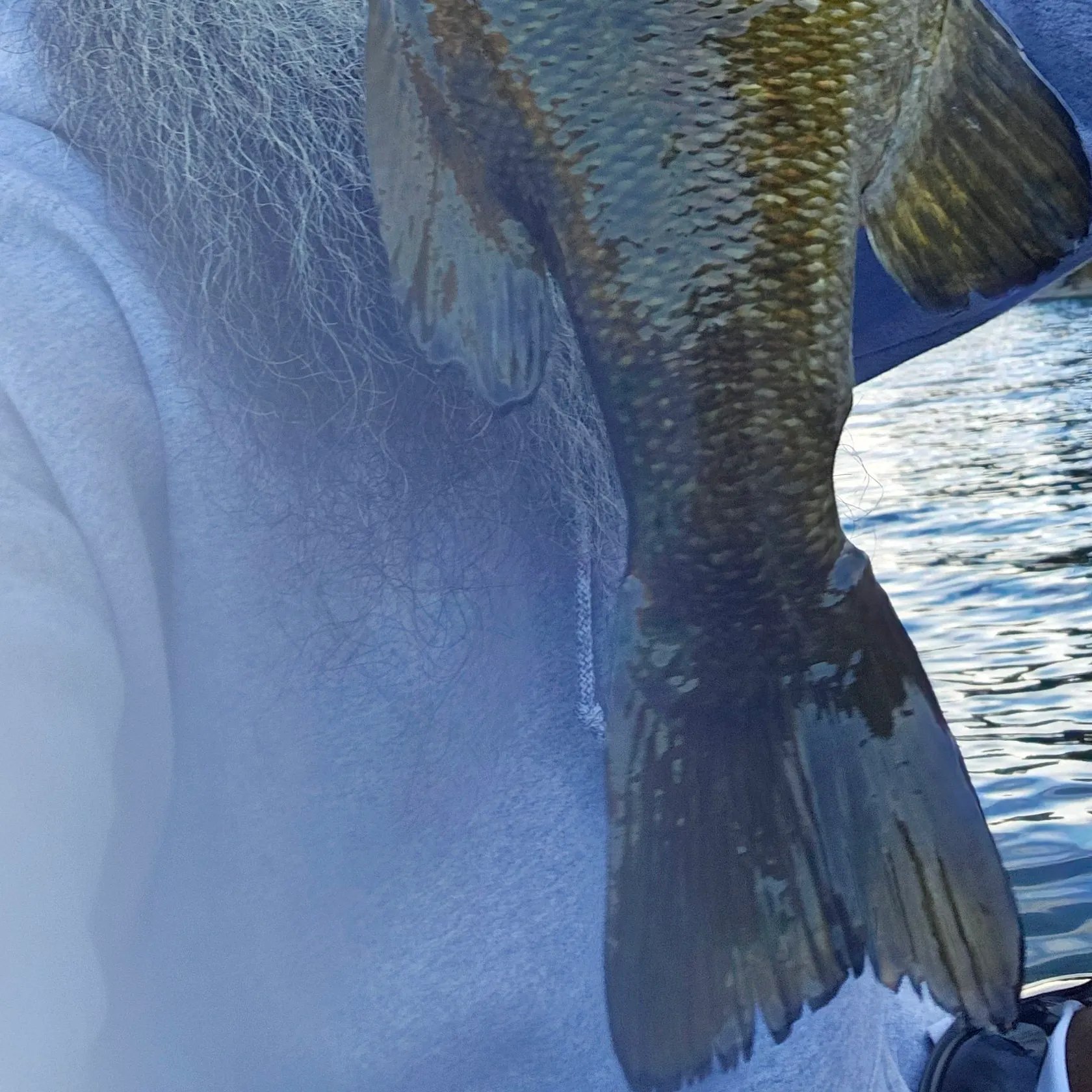 Smallmouth bass caught on Fishbrain