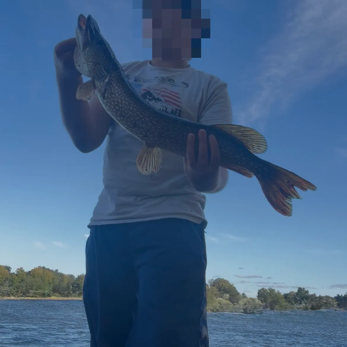 Northern pike caught on Fishbrain