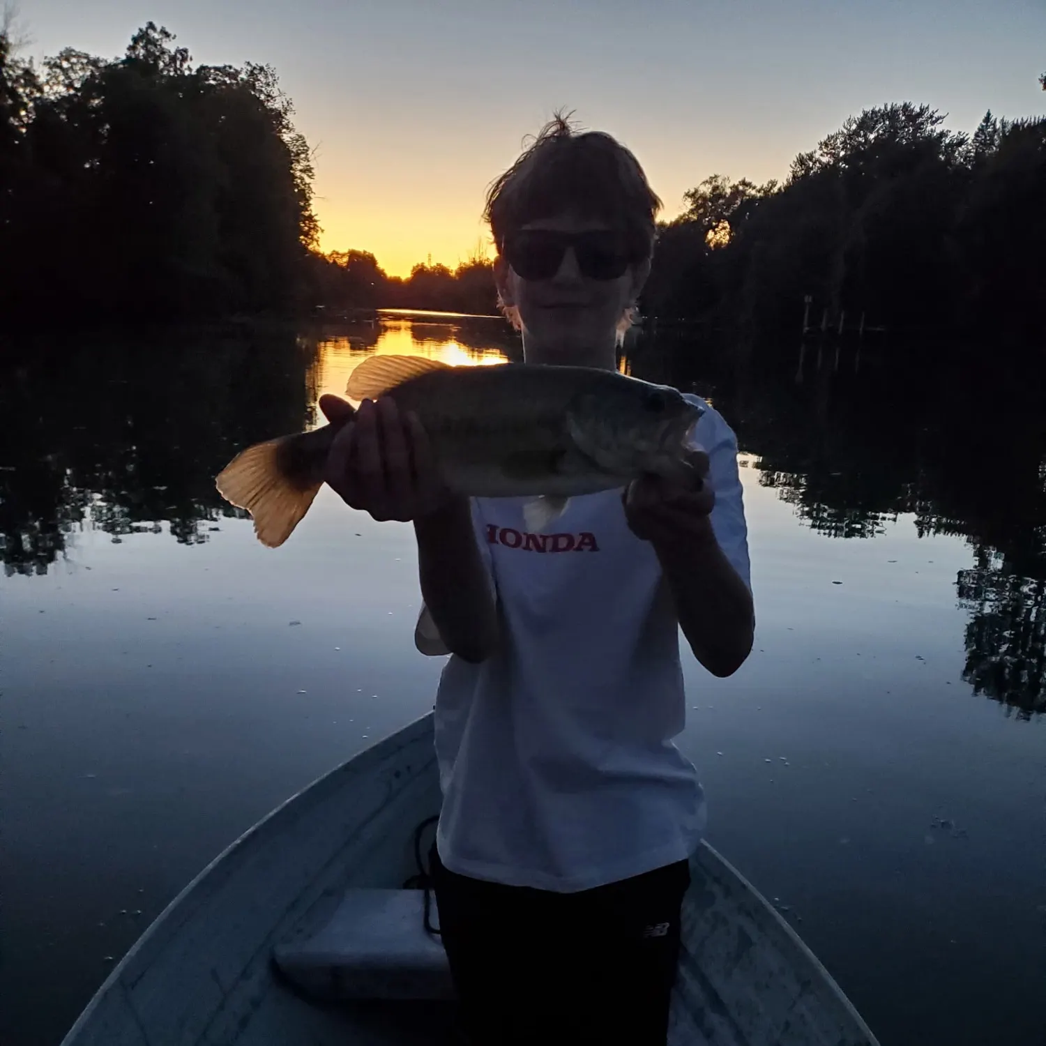 Largemouth bass caught on Fishbrain