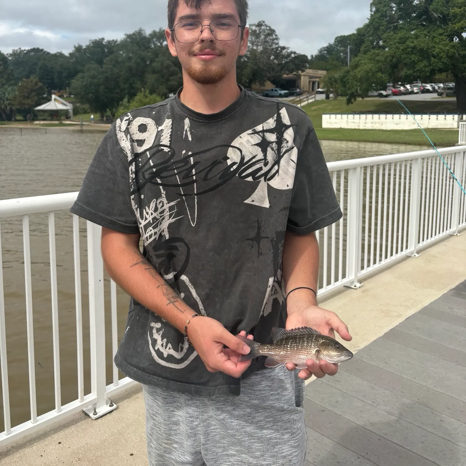 Mangrove snapper caught on Fishbrain