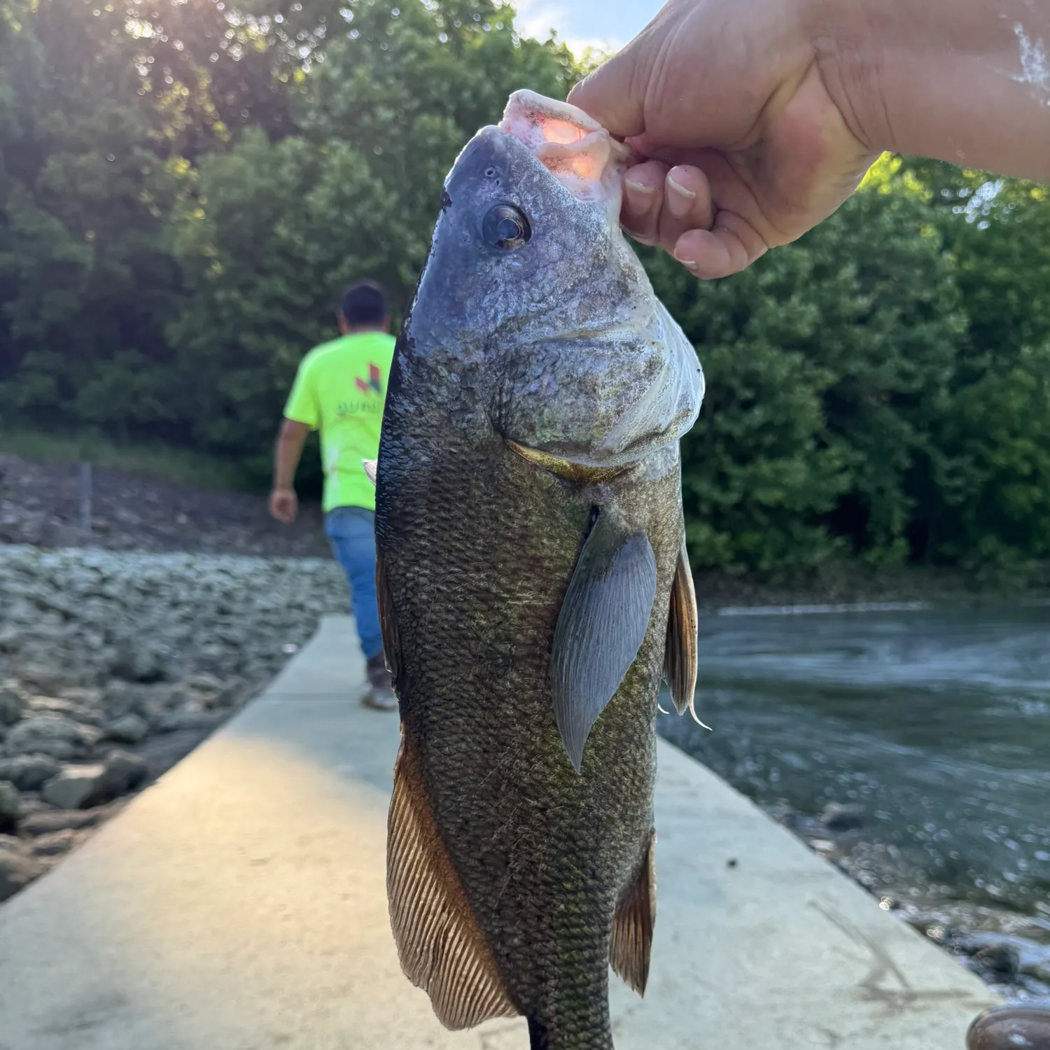 catch