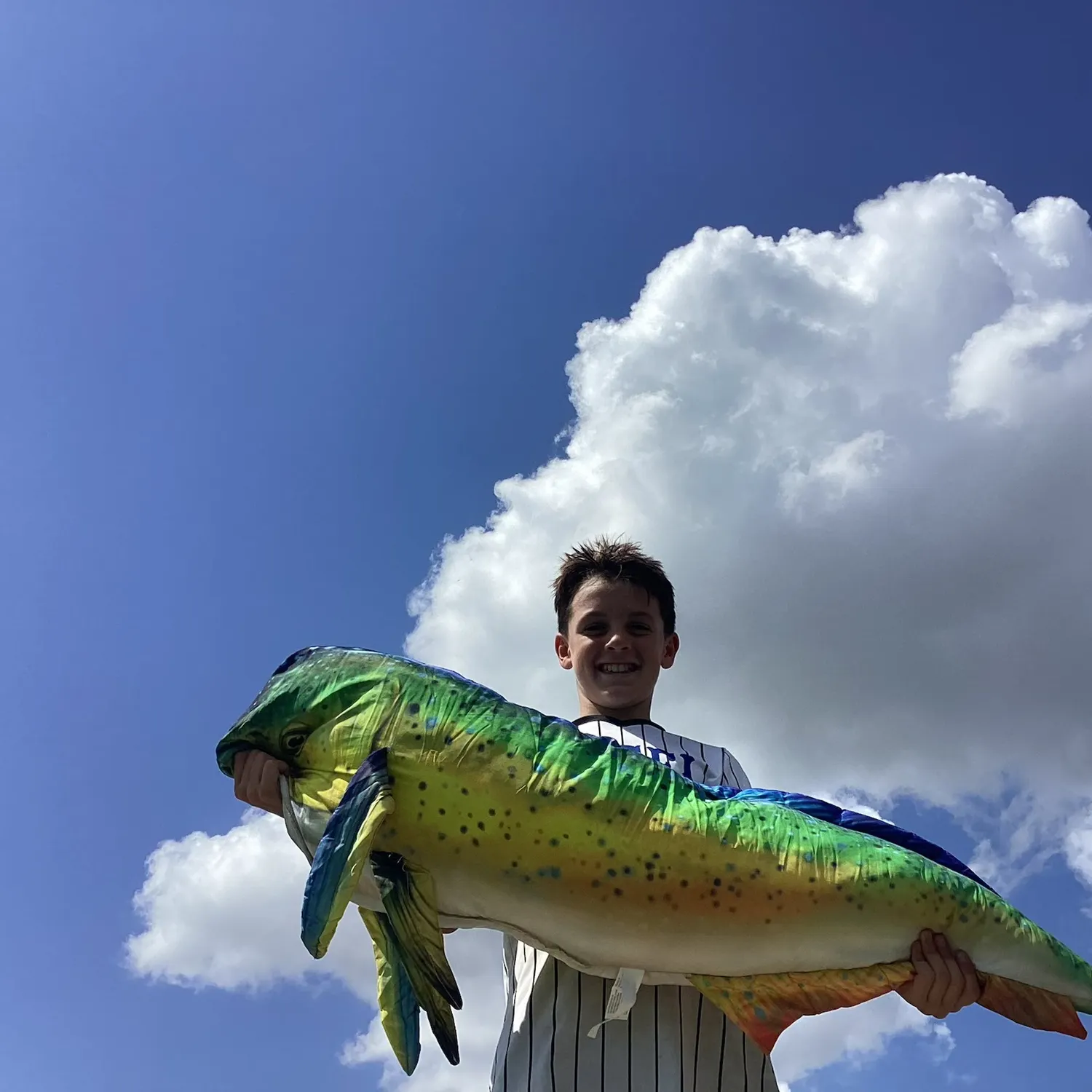 The most recent Common dolphinfish catches on Fishbrain