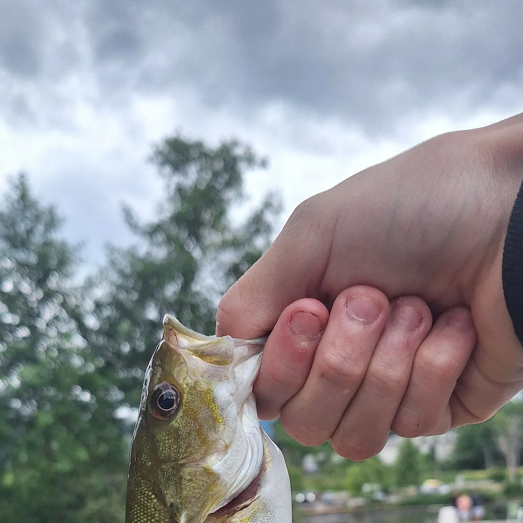 catch