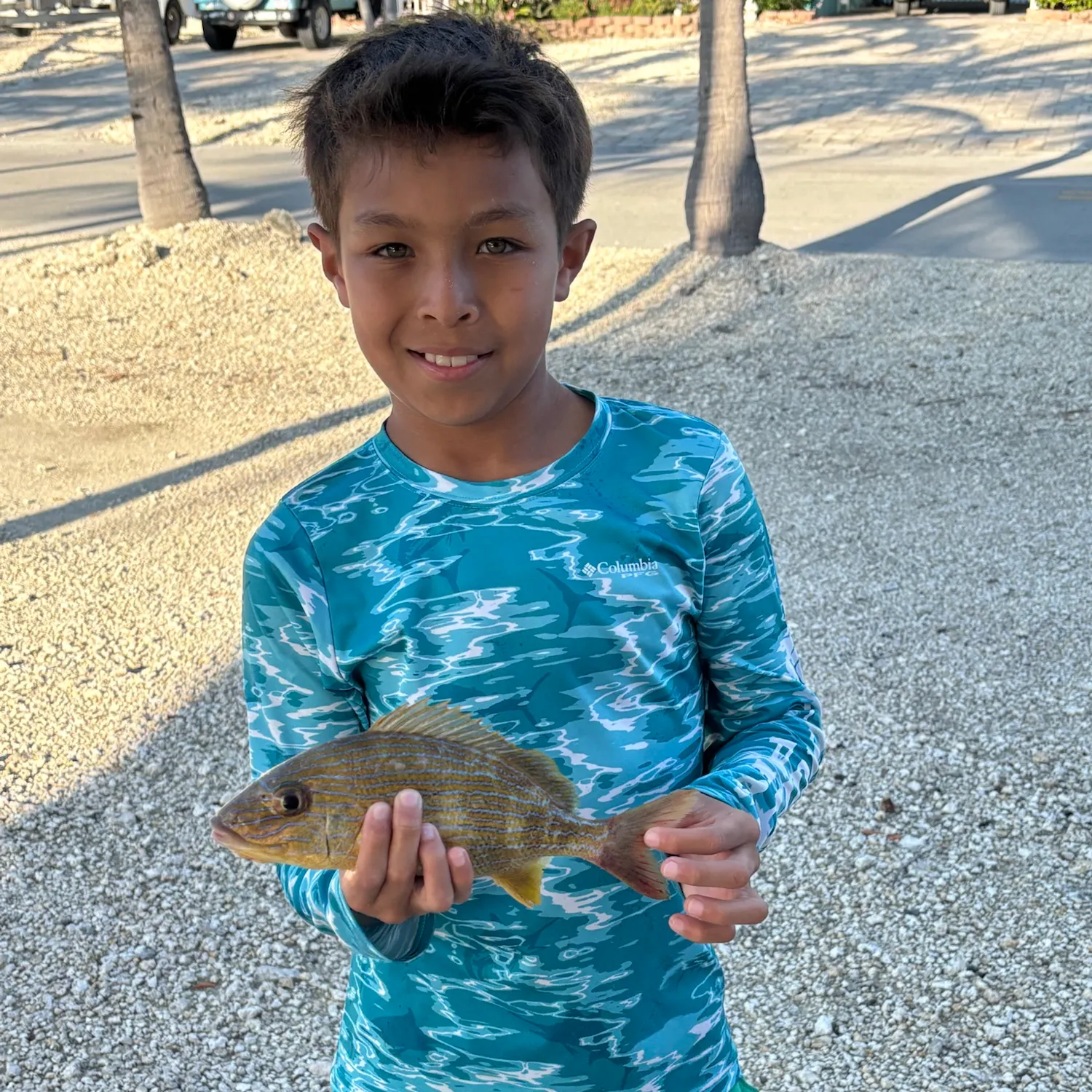 The most recent Schoolmaster snapper catches on Fishbrain