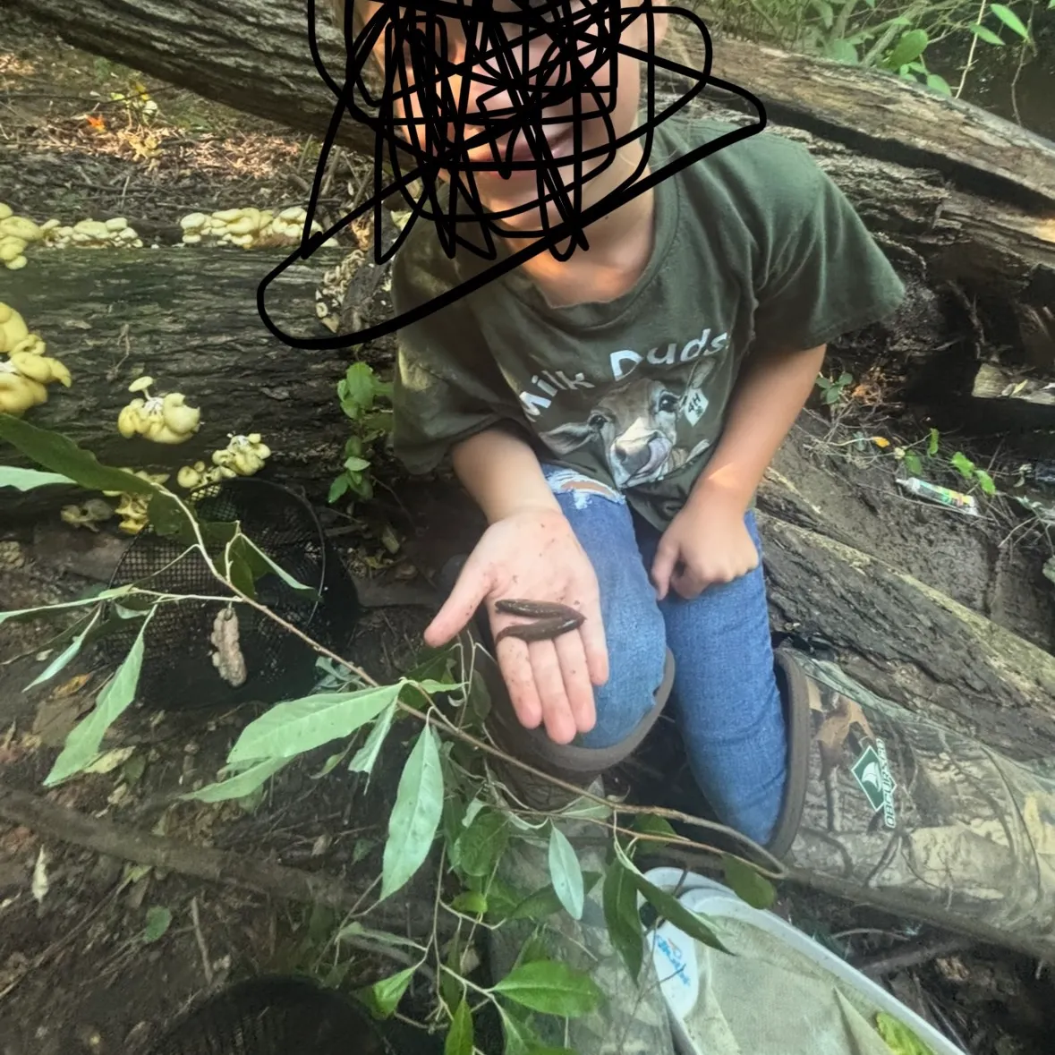 The most recent Eastern mudminnow catches on Fishbrain