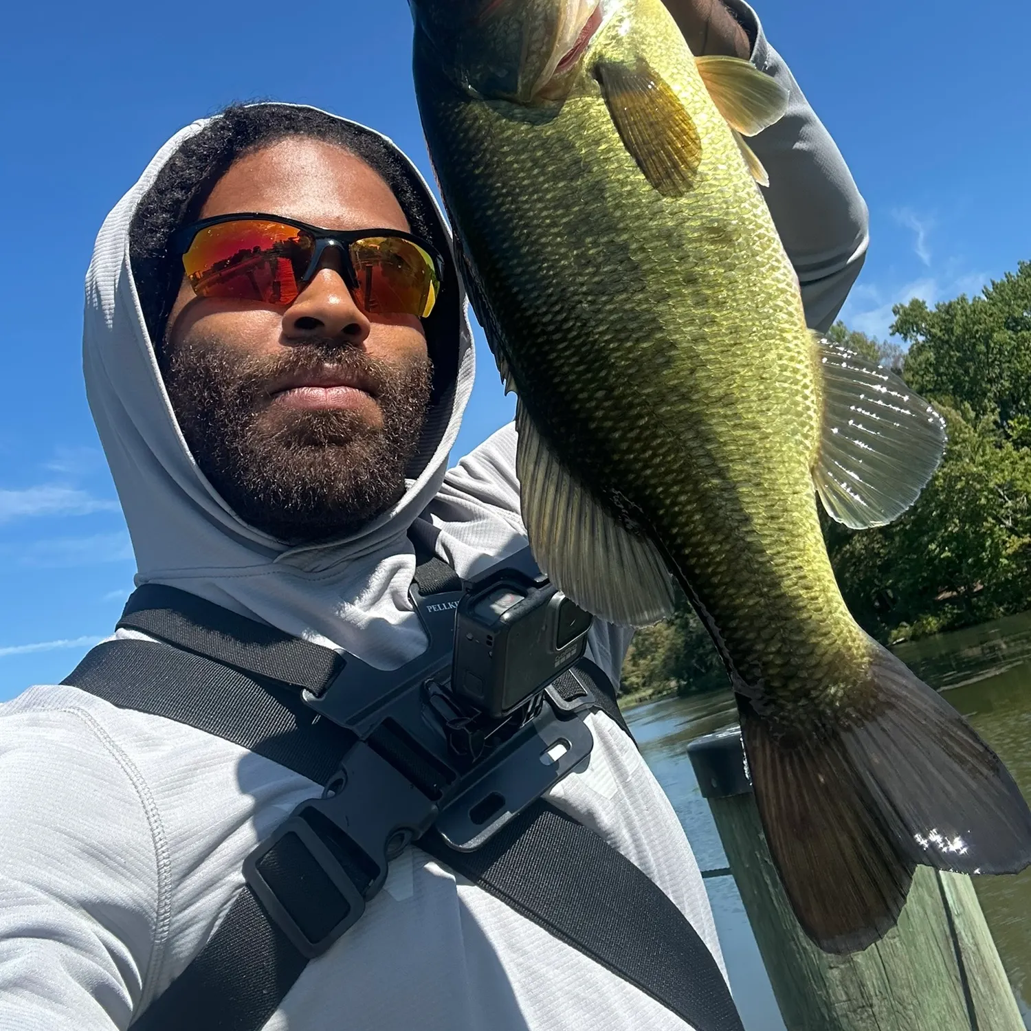 Largemouth bass caught on Fishbrain