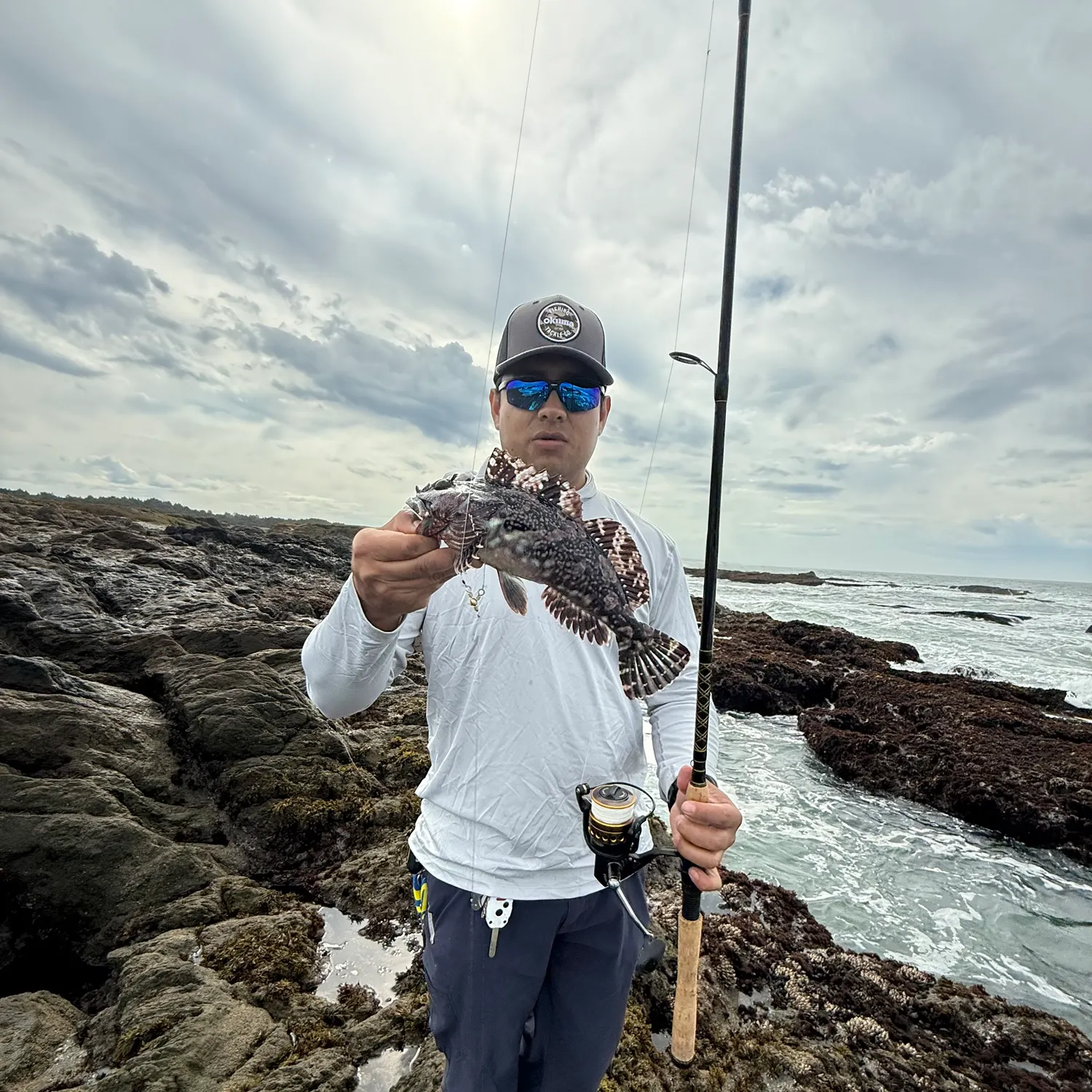 The most recent Cabezon catches on Fishbrain