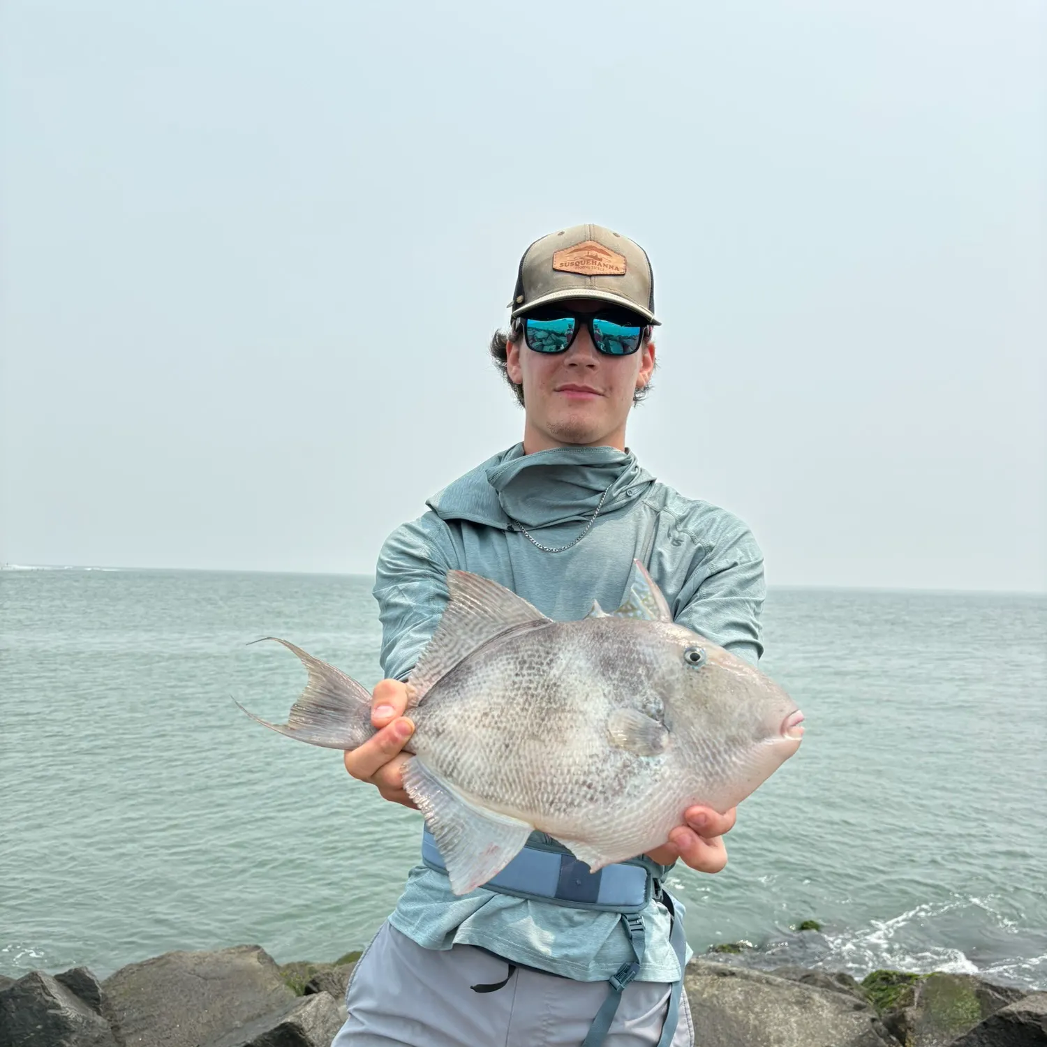 The most recent Grey triggerfish catches on Fishbrain