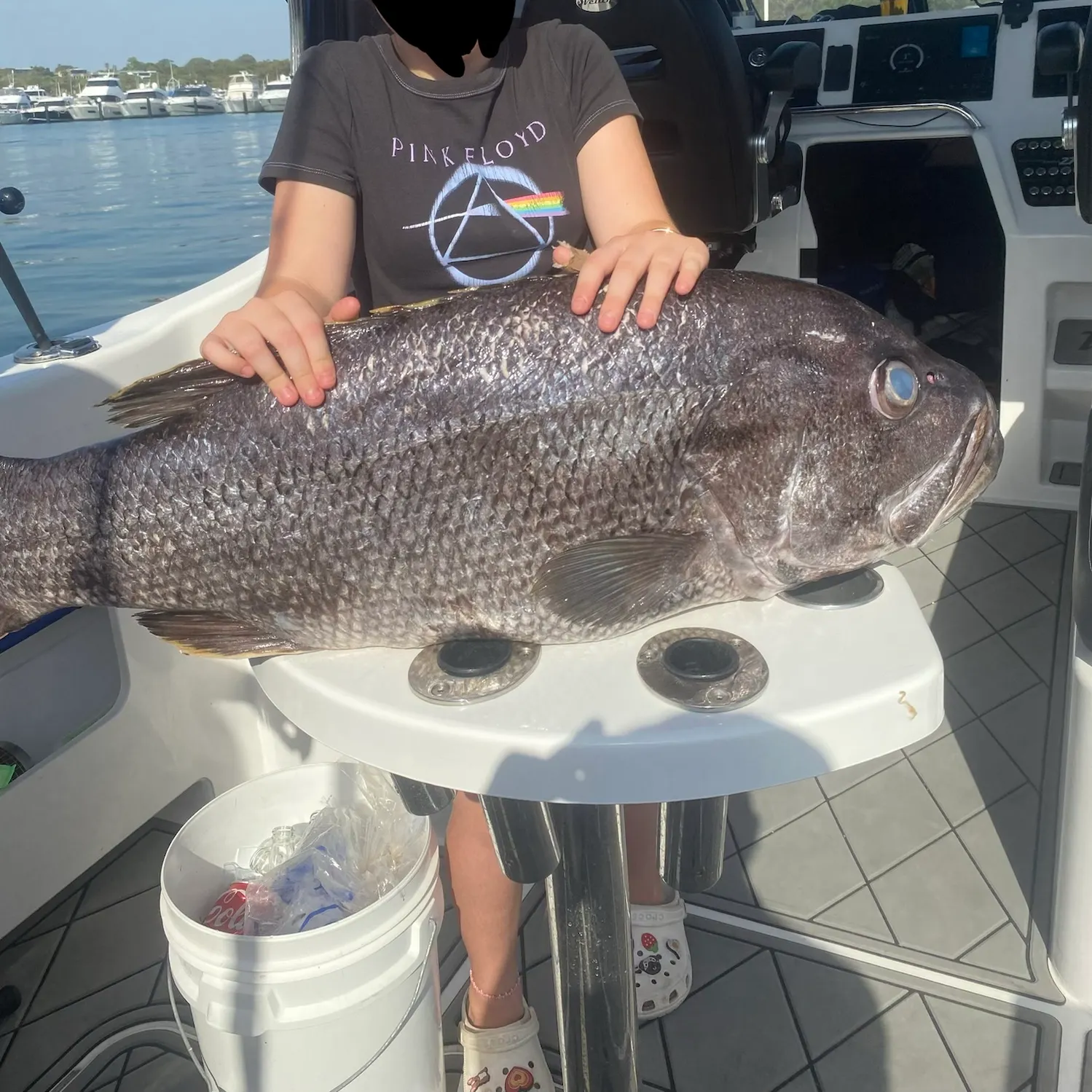 The most recent Westralian jewfish catches on Fishbrain