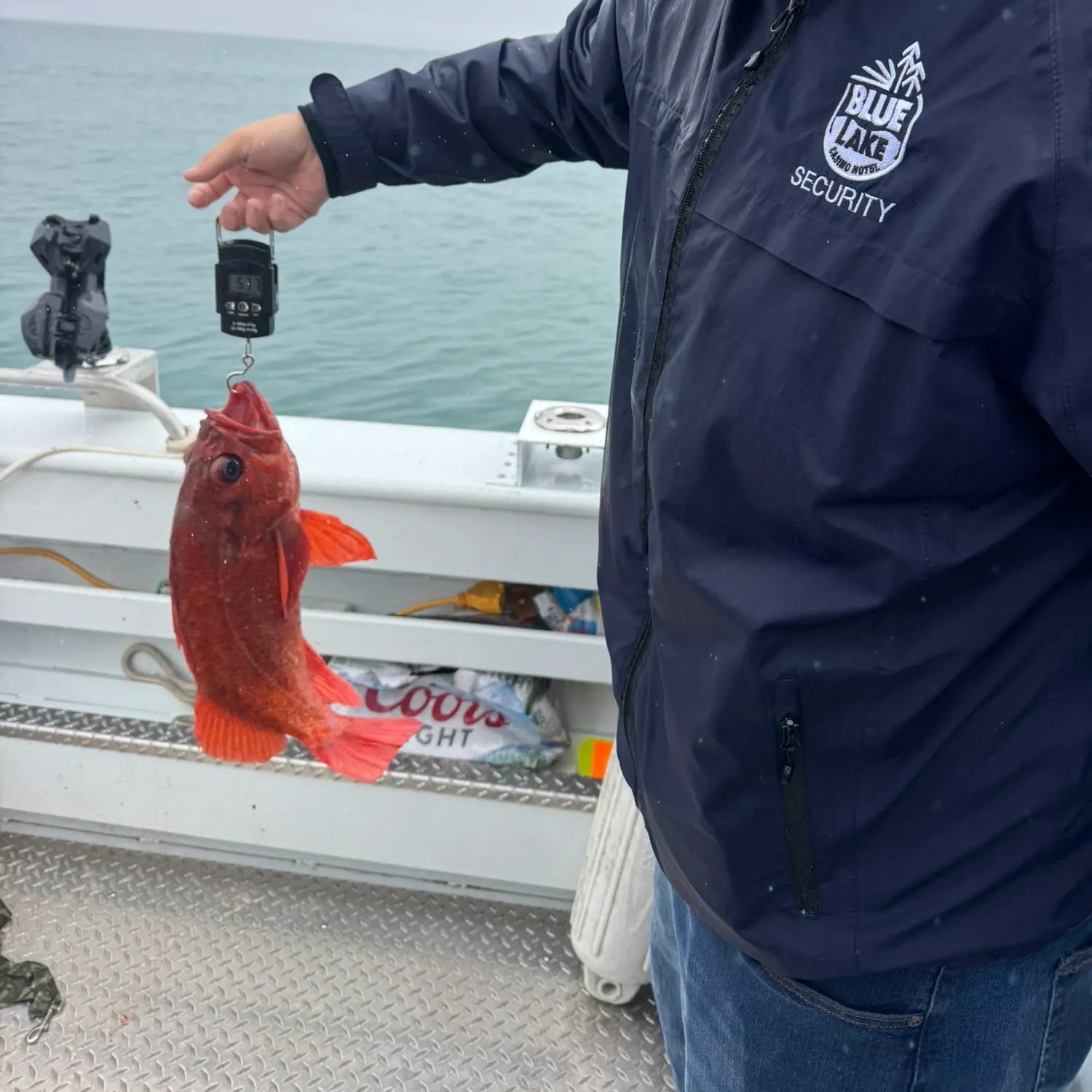 The most recent Vermilion rockfish catches on Fishbrain