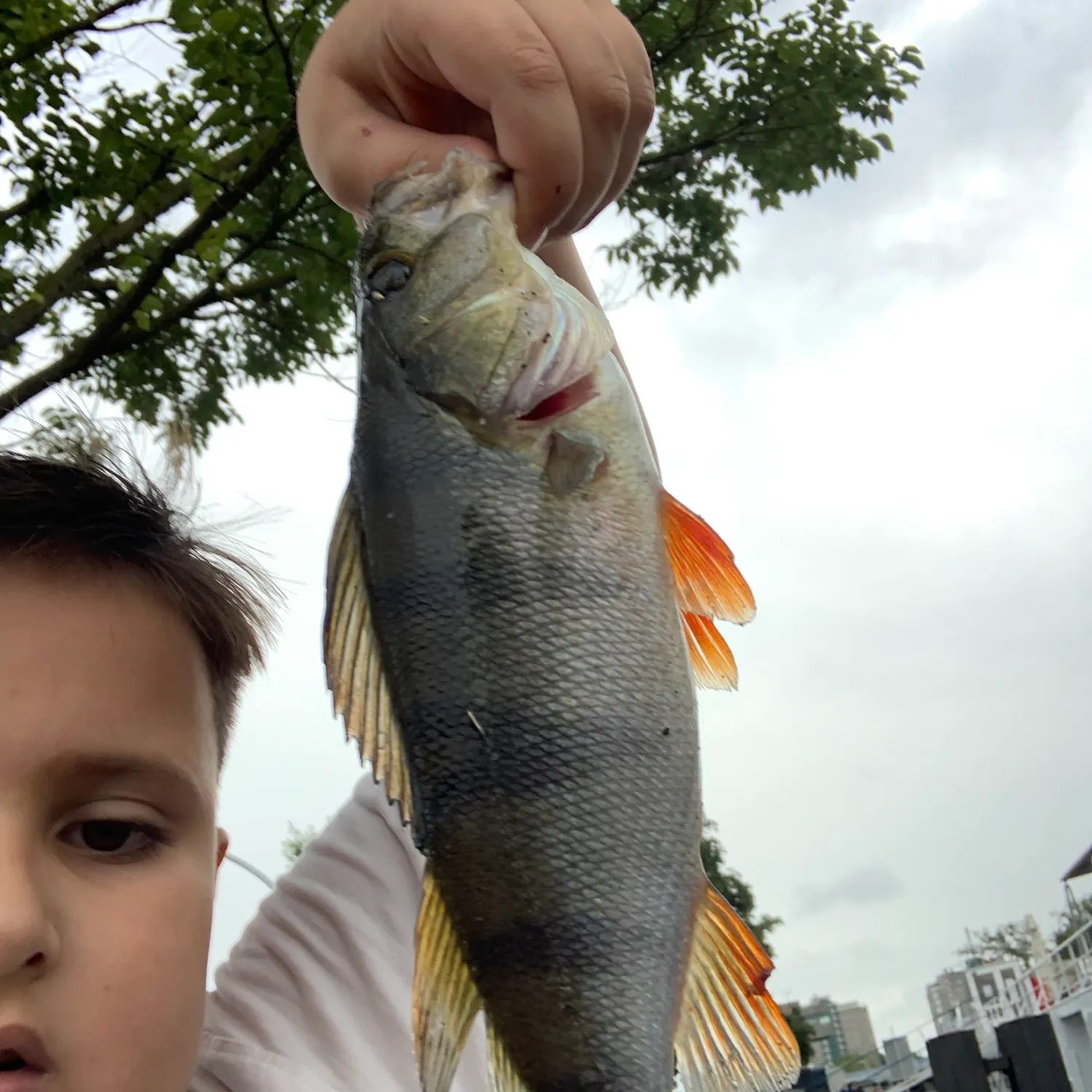 catch