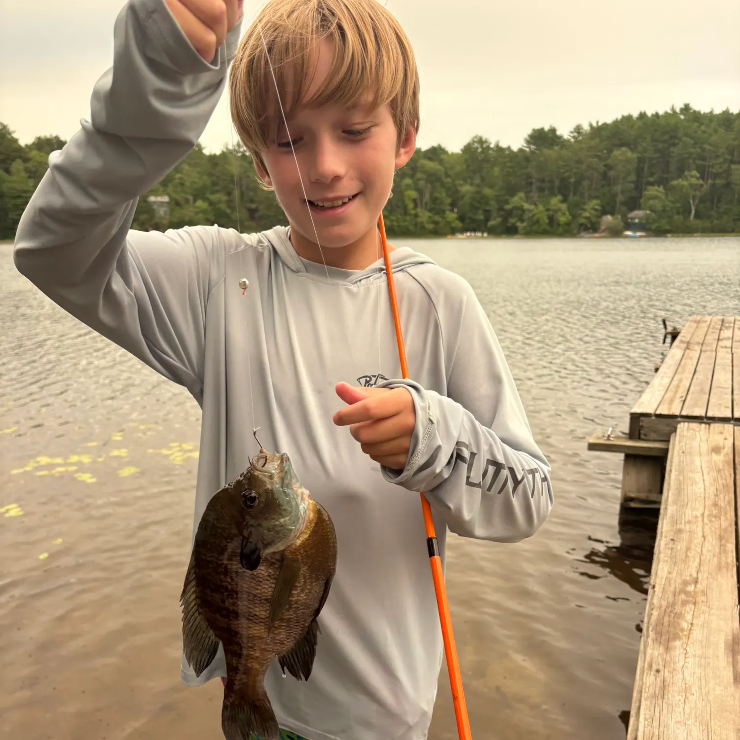 Bluegill caught on Fishbrain