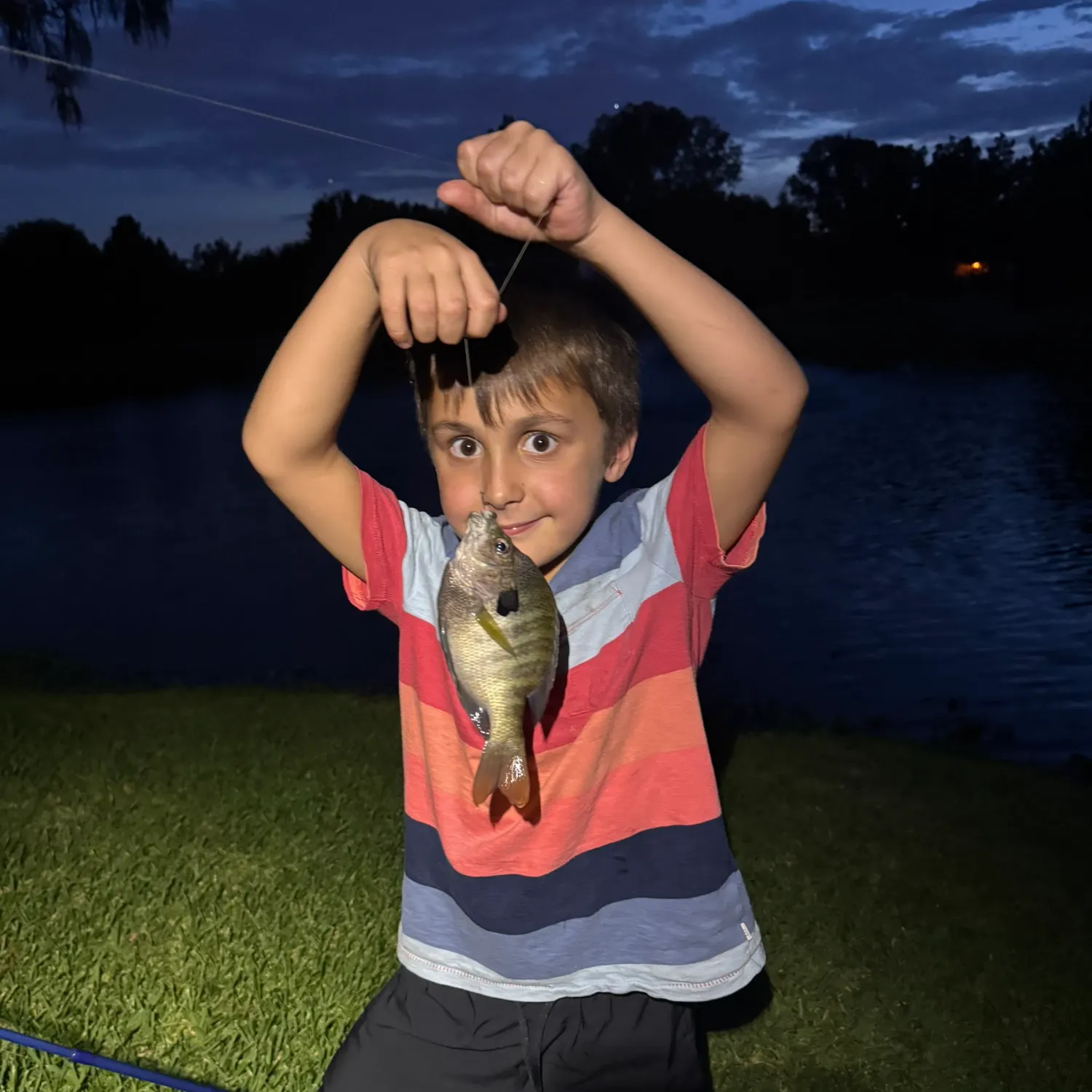 Fish caught on Fishbrain