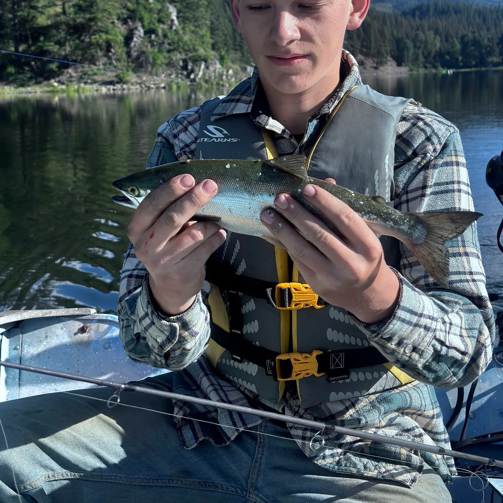 The most recent Coho salmon catches on Fishbrain