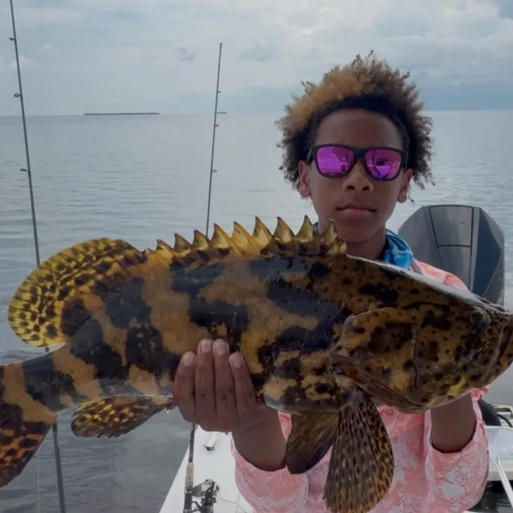 The most recent Atlantic goliath grouper catches on Fishbrain