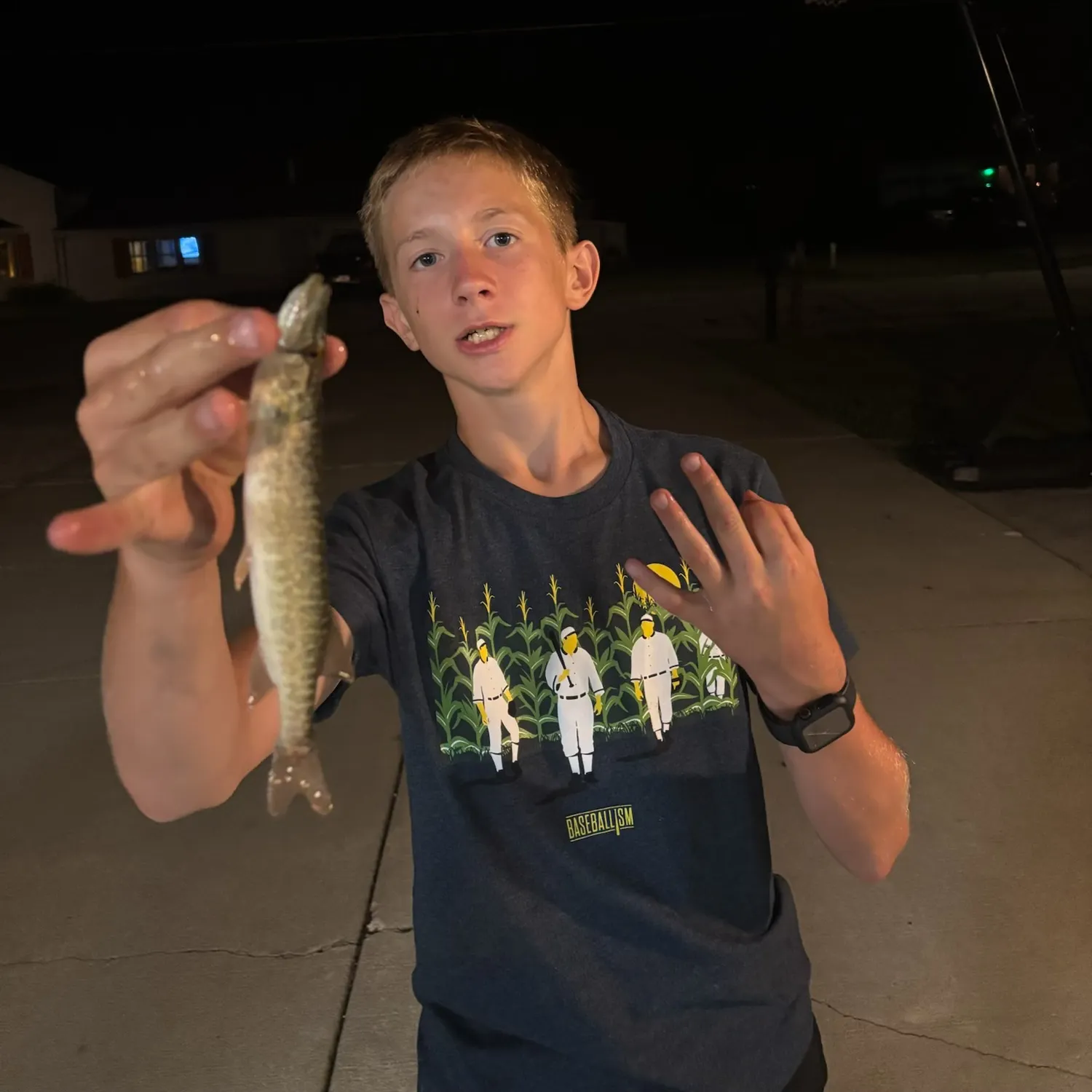 The most recent Grass pickerel catches on Fishbrain