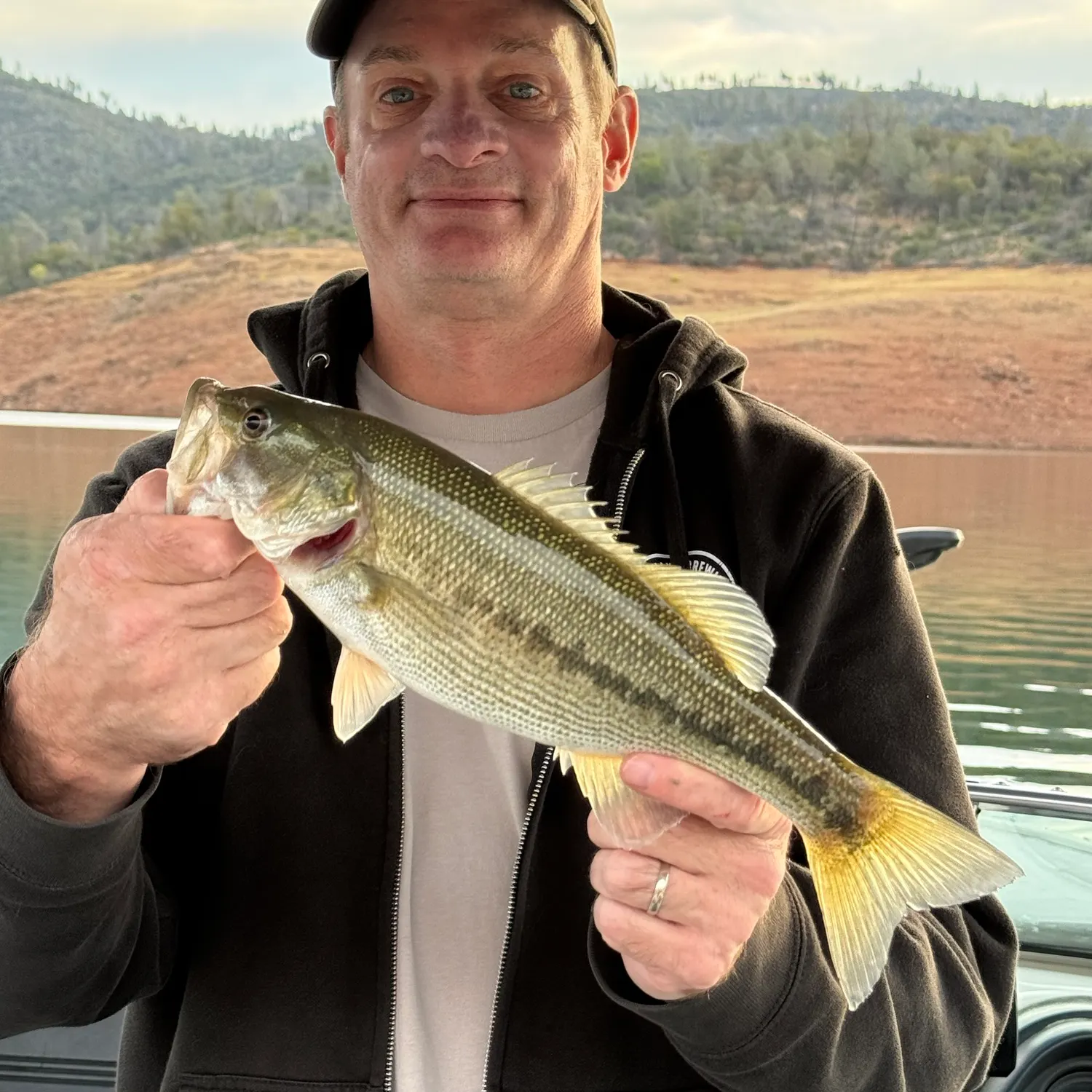 Spotted bass caught on Fishbrain