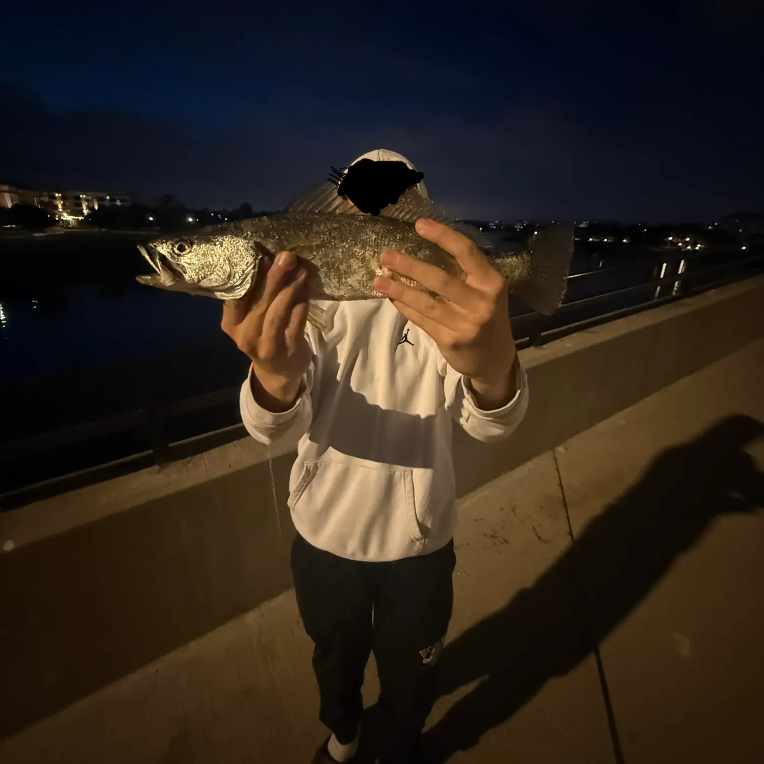 The most recent Stolzmann's weakfish catches on Fishbrain