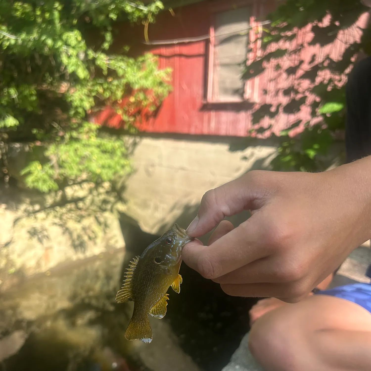 catch