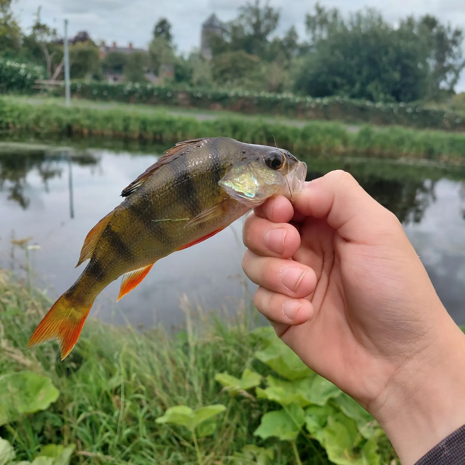 catch