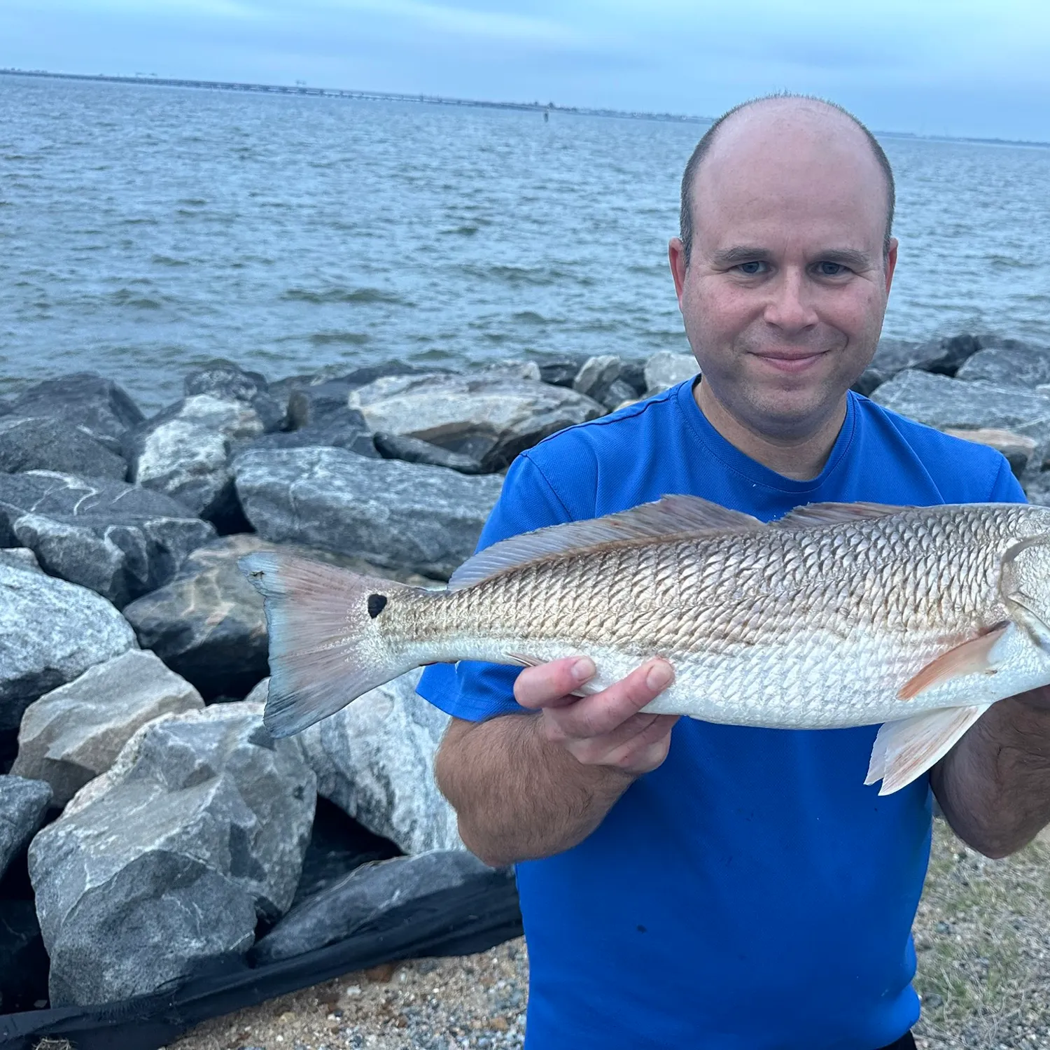 The most recent Red drum catches on Fishbrain