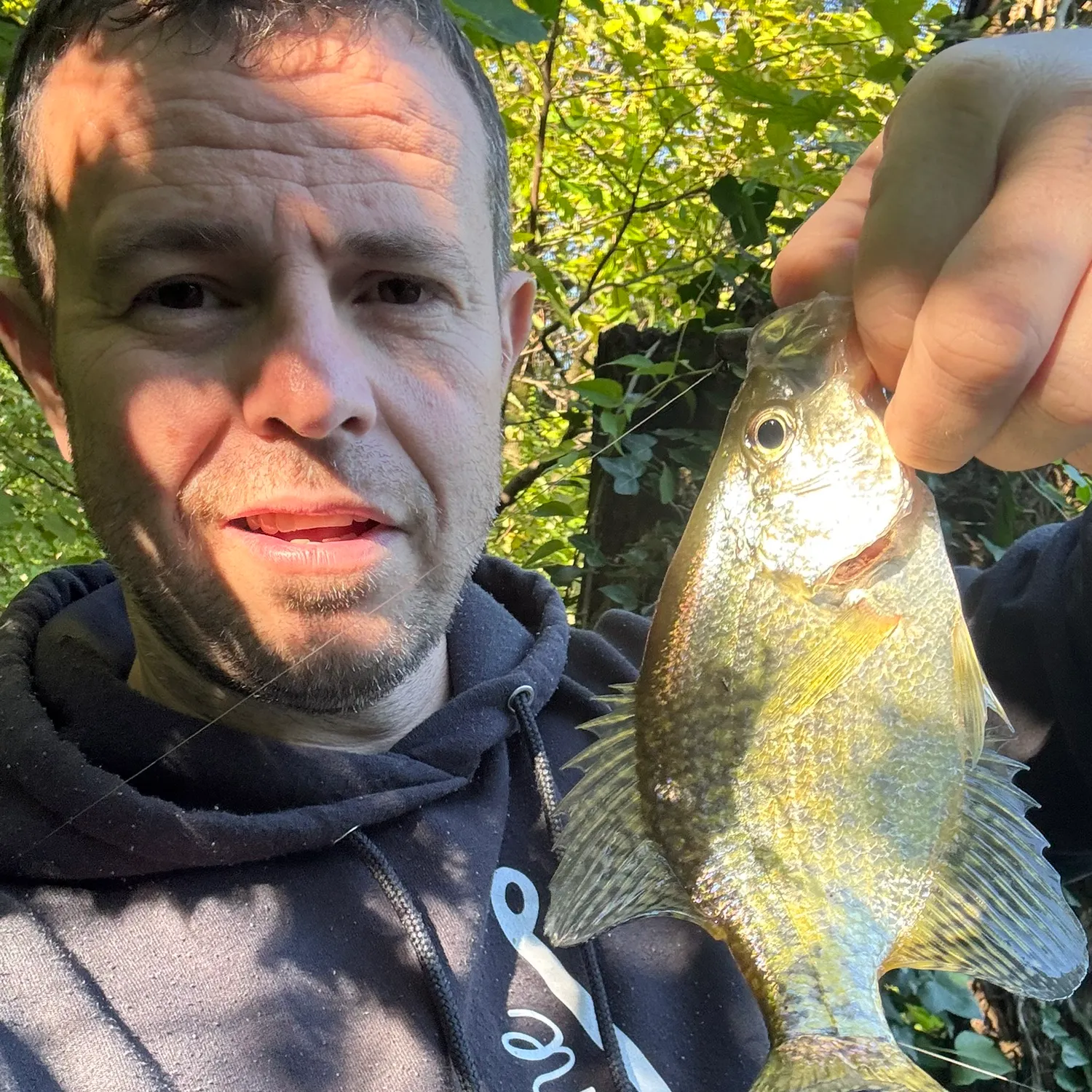 Black crappie caught on Fishbrain