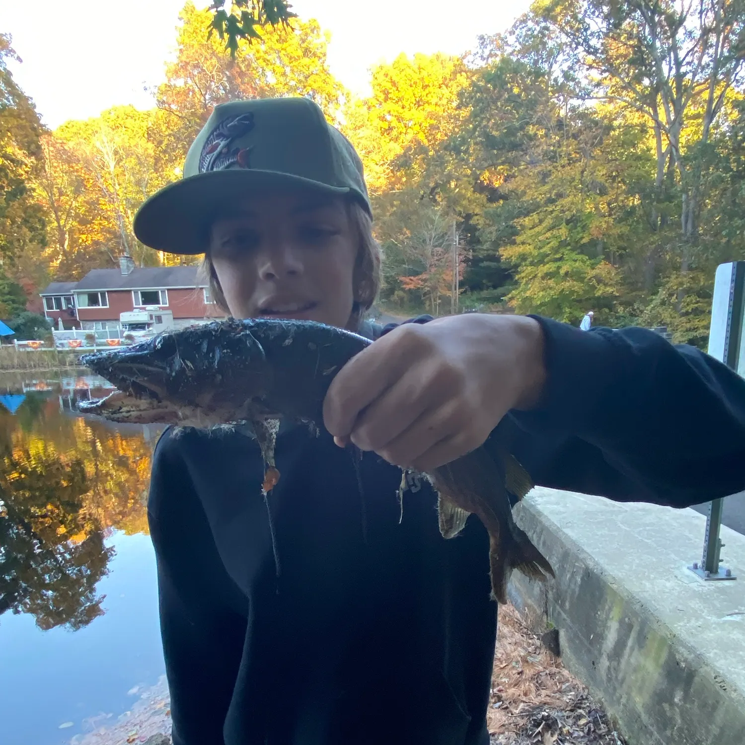Chain pickerel caught on Fishbrain