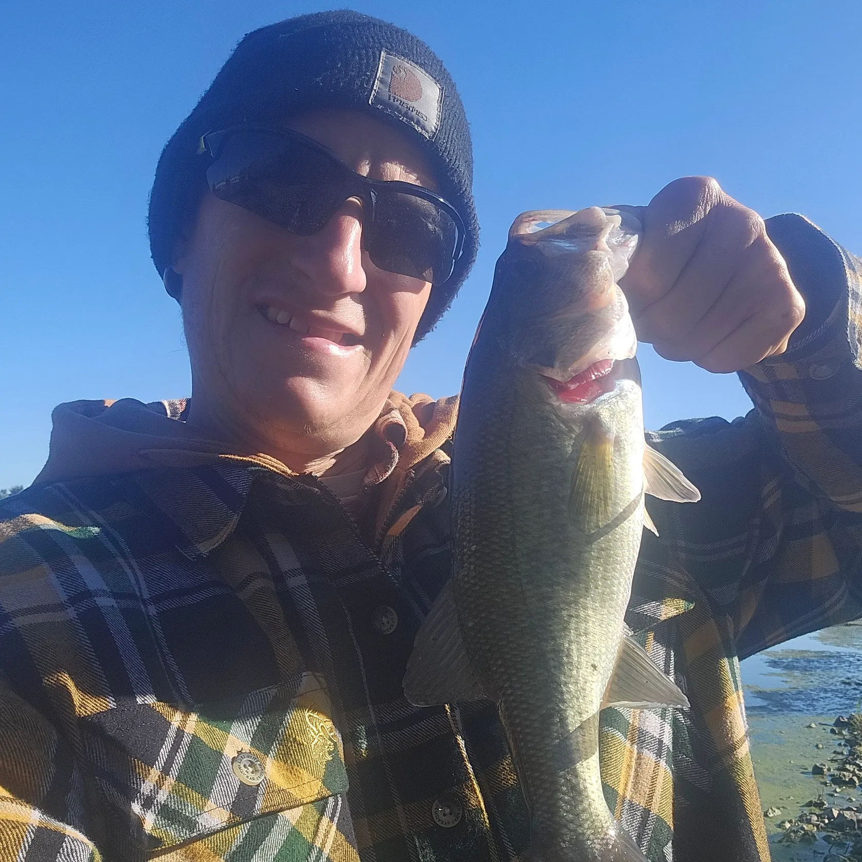 Largemouth bass caught on Fishbrain