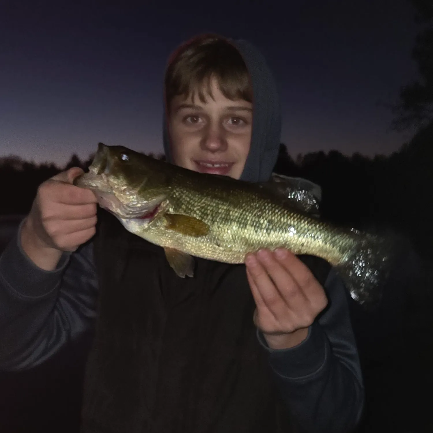 Smallmouth bass caught on Fishbrain
