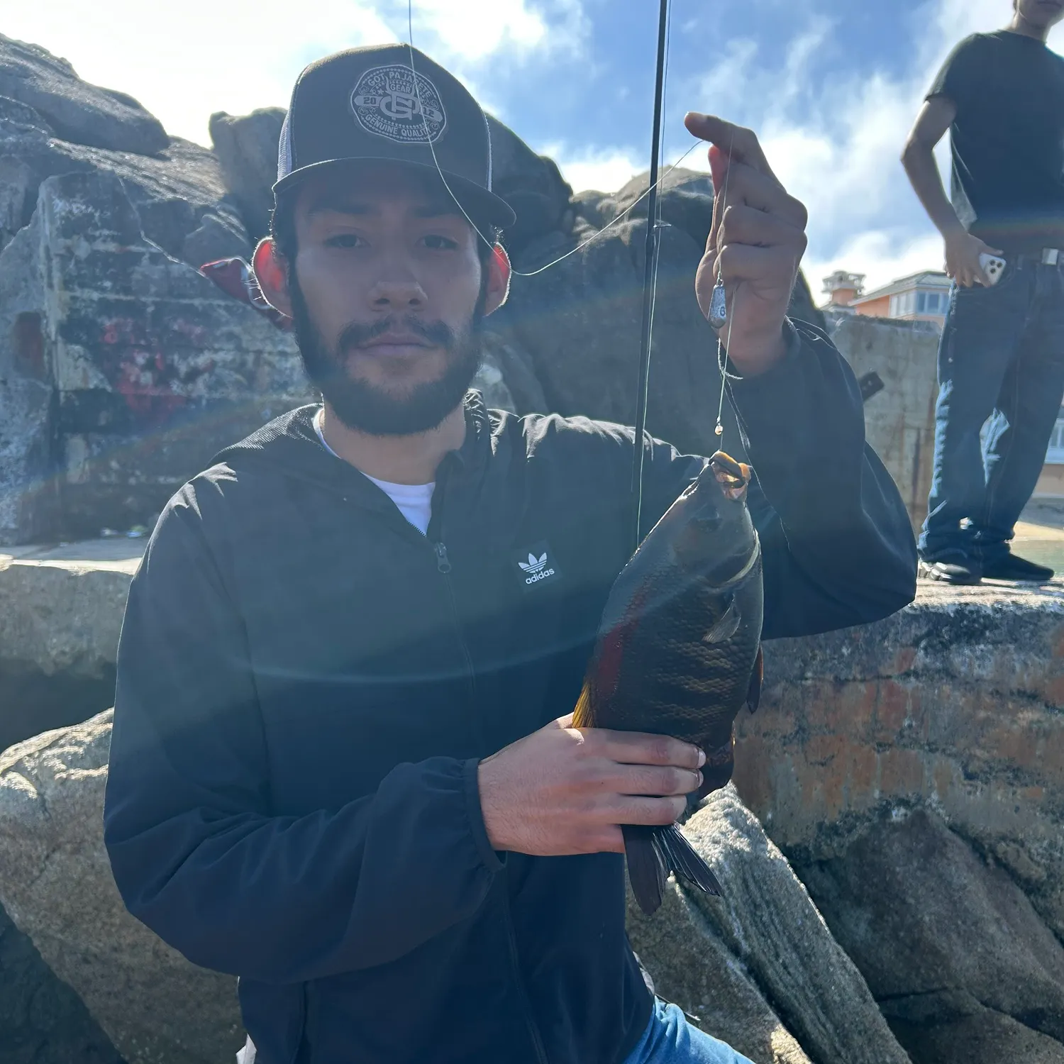 Black perch caught on Fishbrain