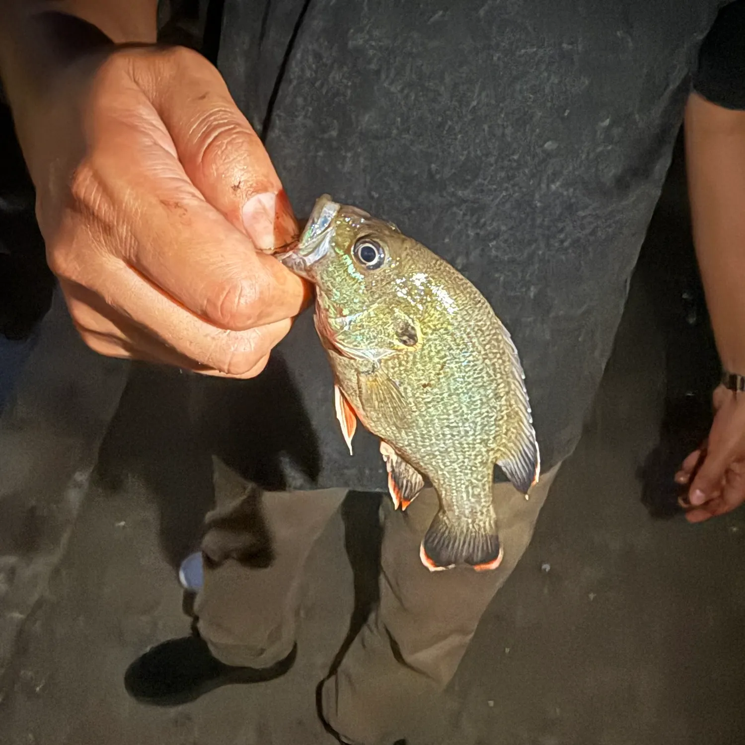 catch