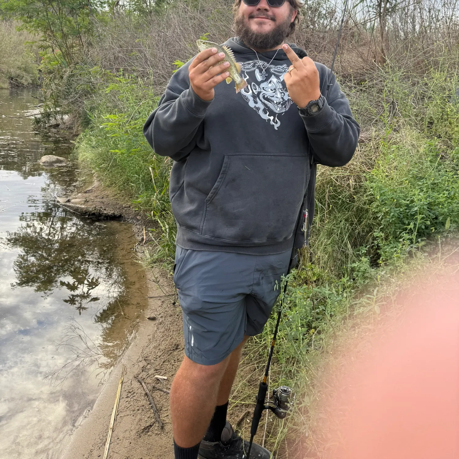 Australian bass caught on Fishbrain