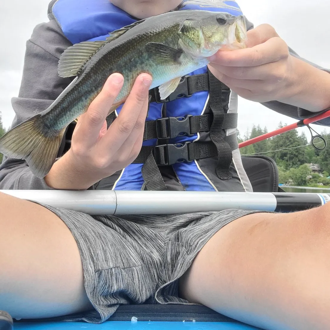 angler catch