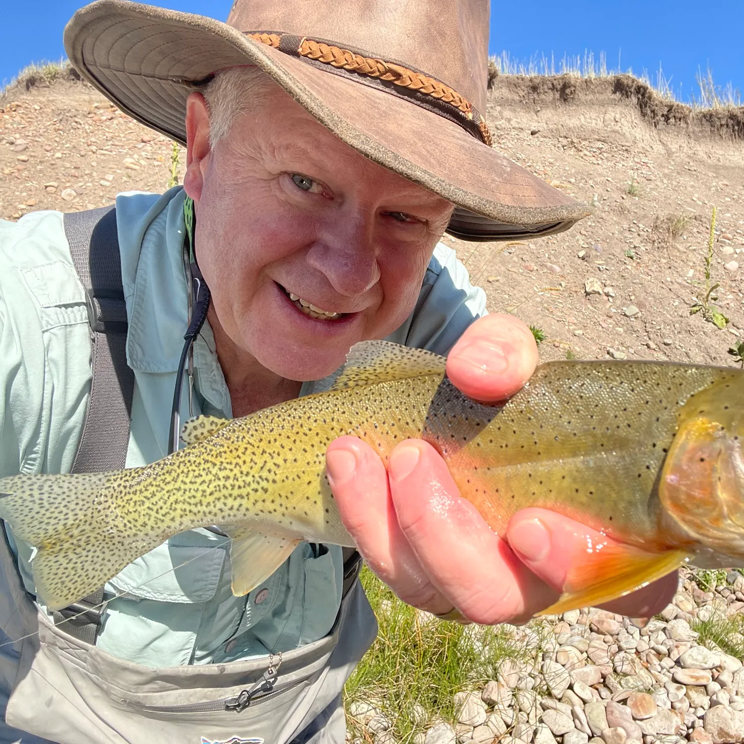 The most recent Cutthroat trout catches on Fishbrain