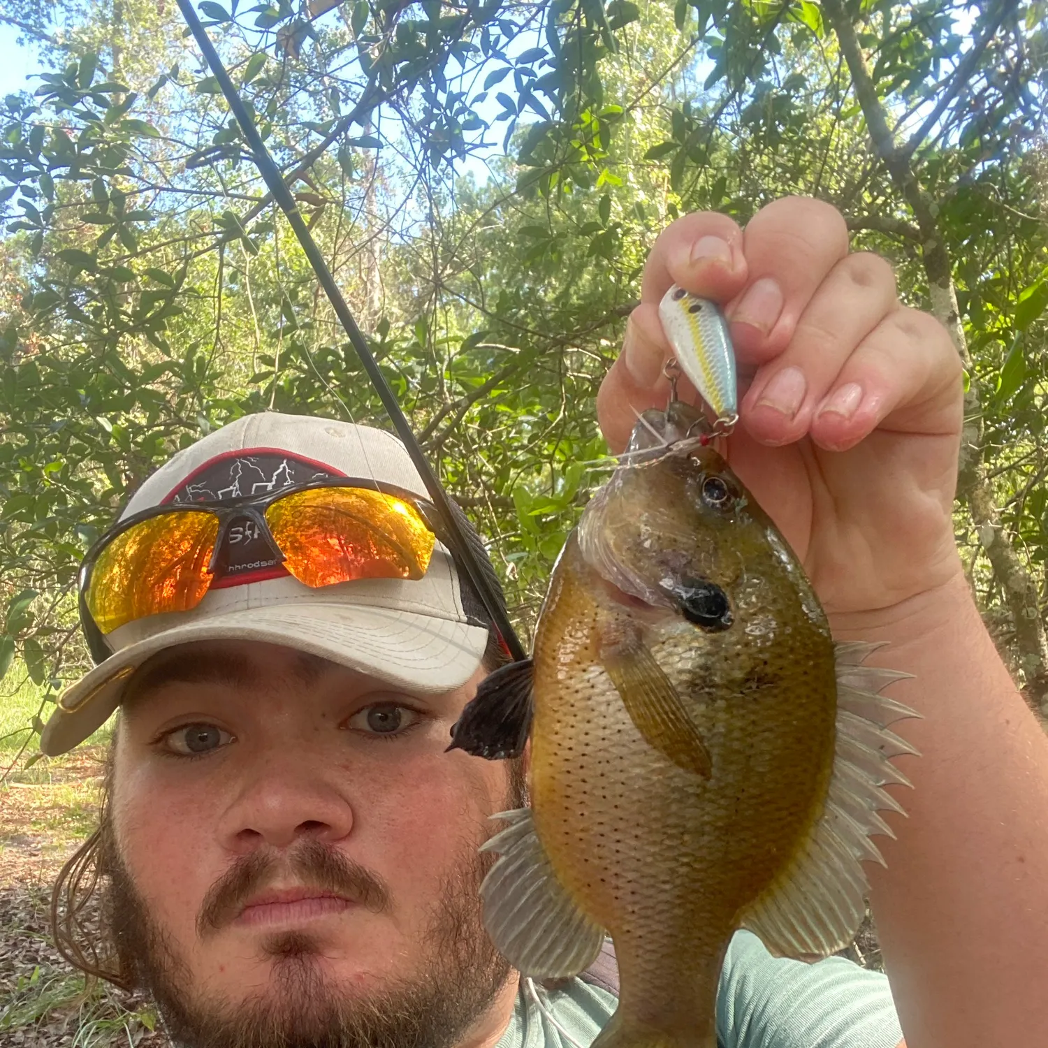 The most recent Spotted sunfish catches on Fishbrain