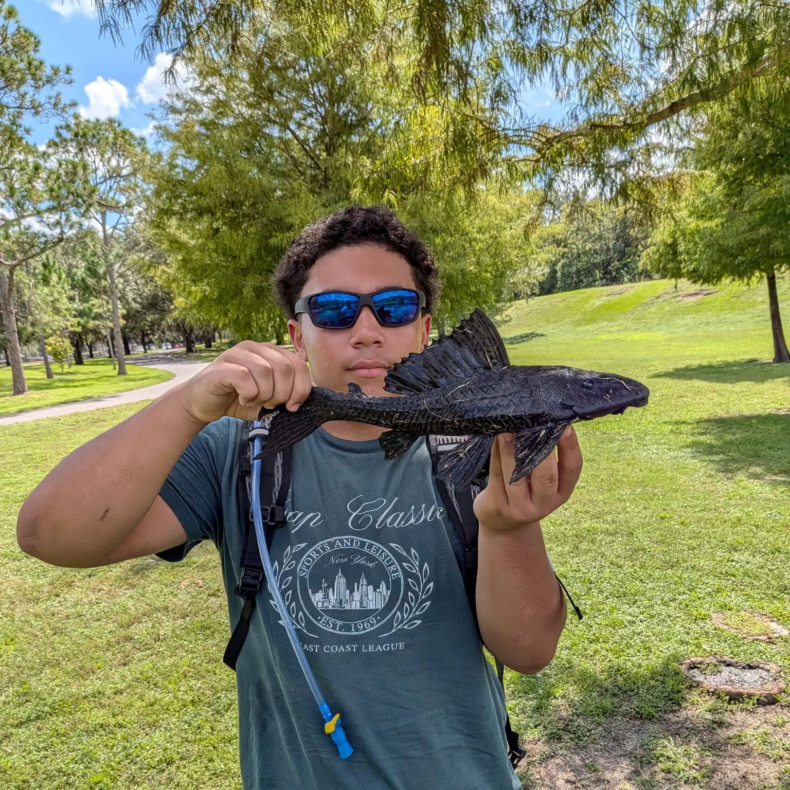 Suckermouth catfish caught on Fishbrain