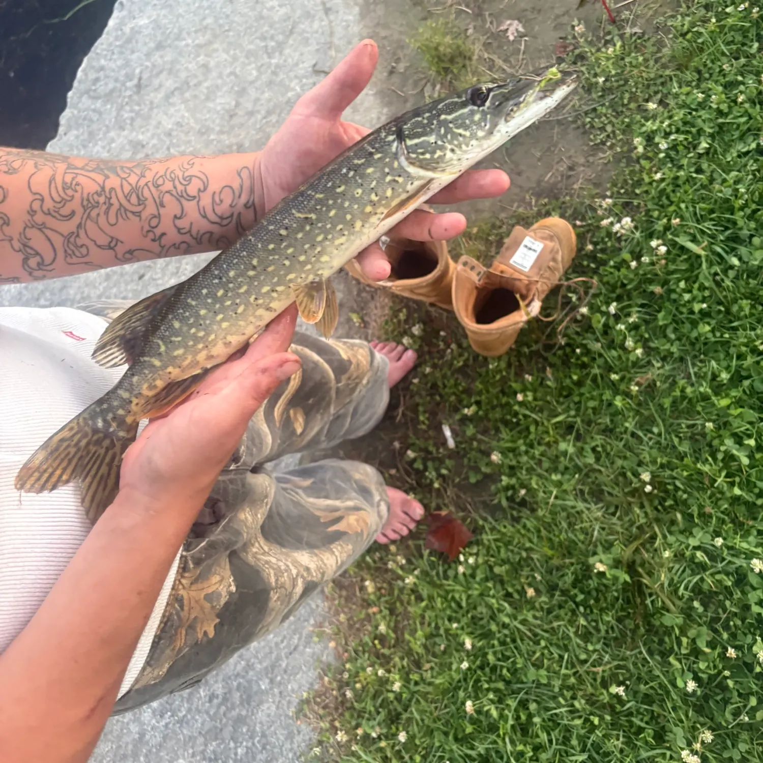recently logged catches