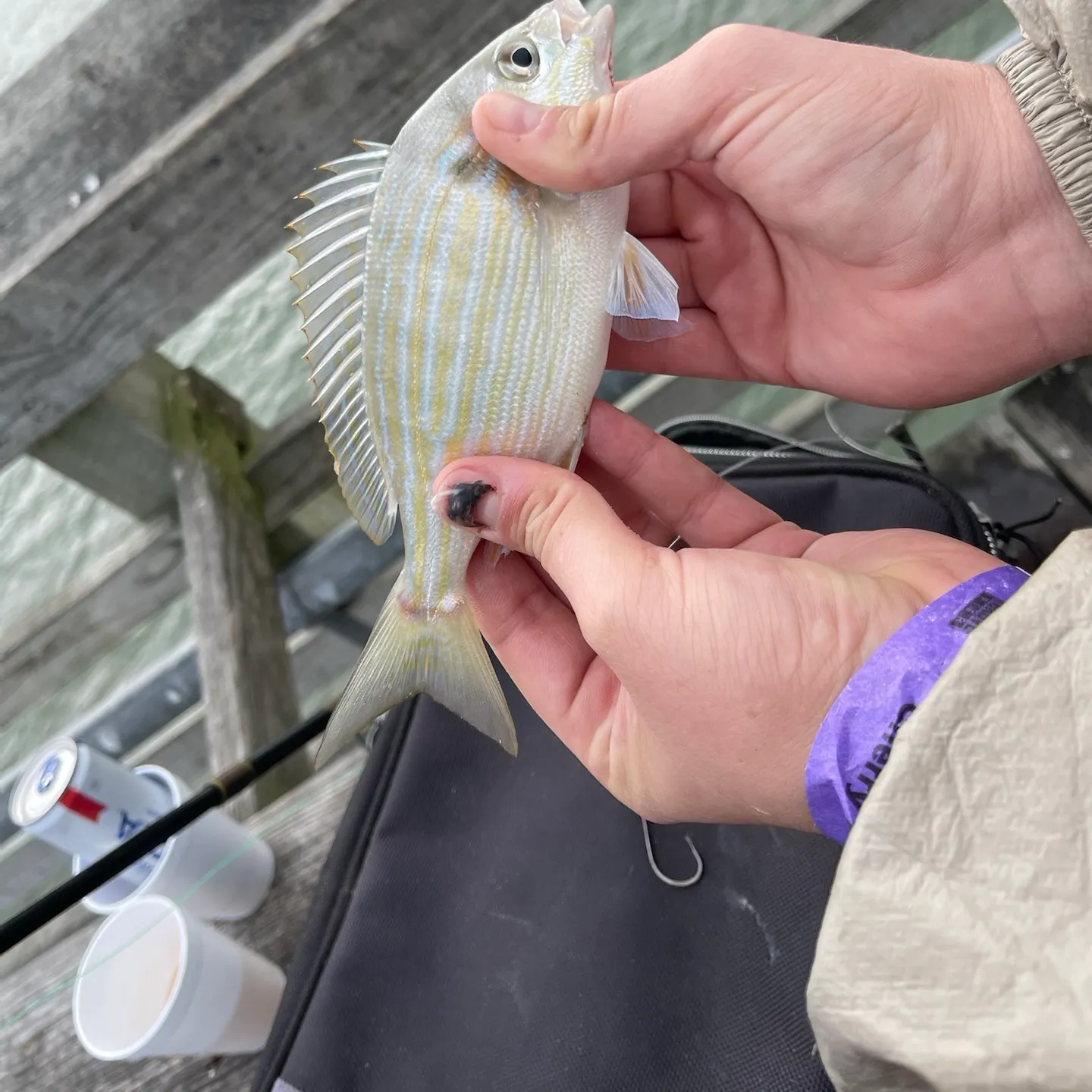 catch