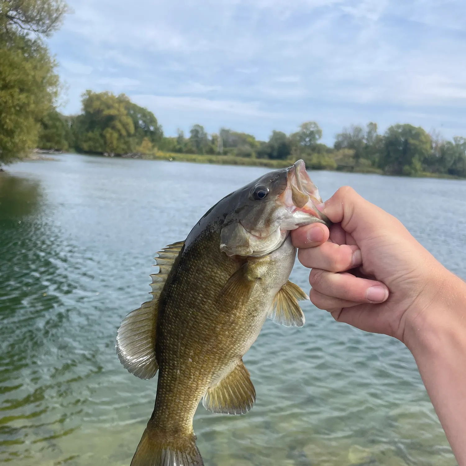 Smallmouth bass caught on Fishbrain