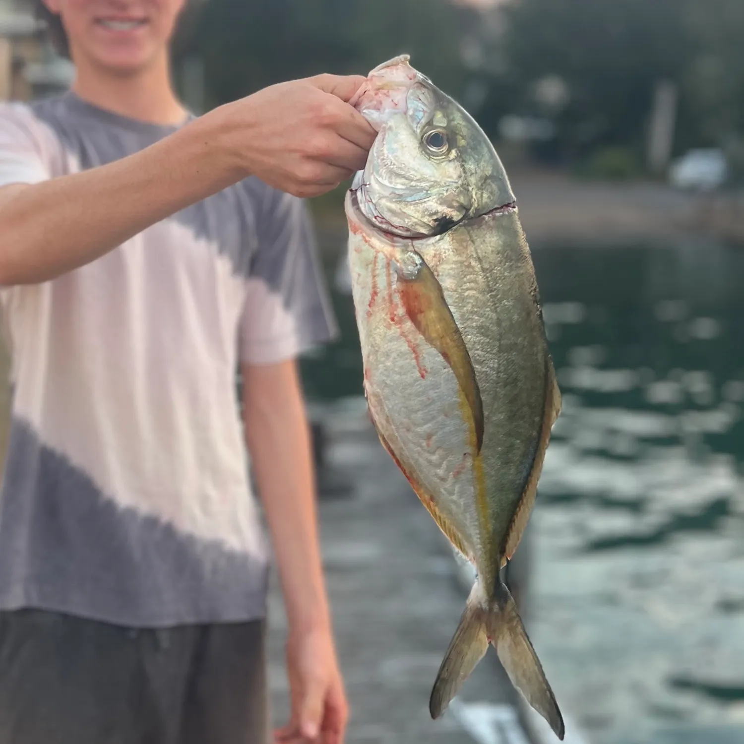 White trevally caught on Fishbrain