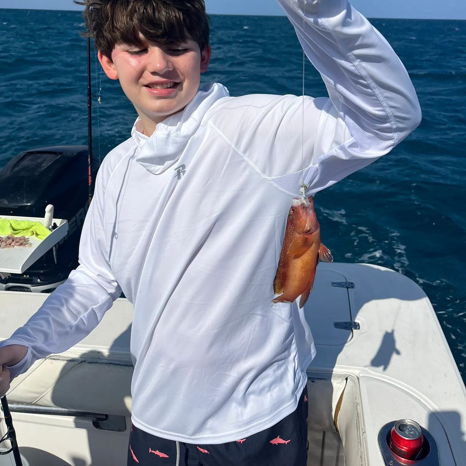 The most recent Yellowfin grouper catches on Fishbrain