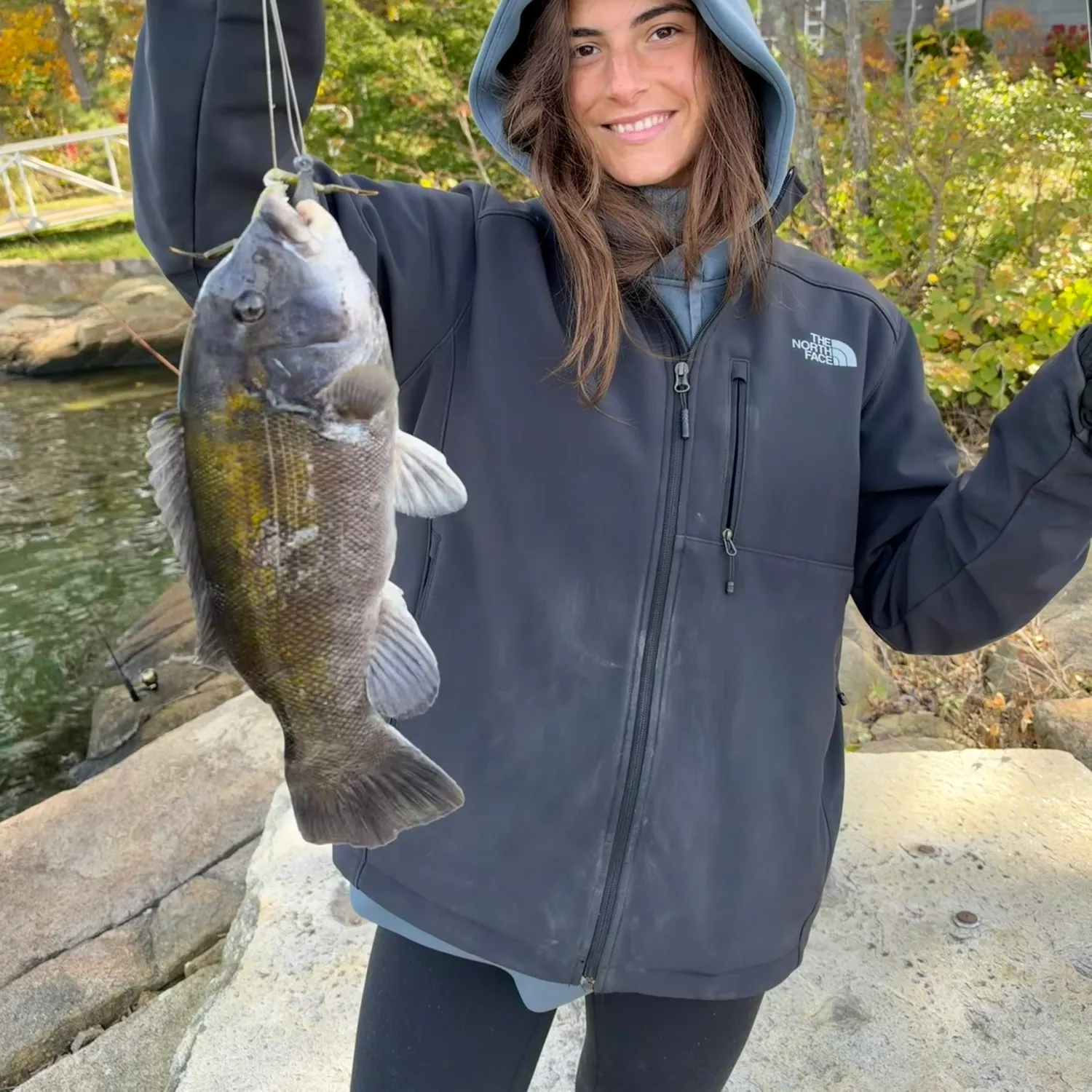 Tautog caught on Fishbrain