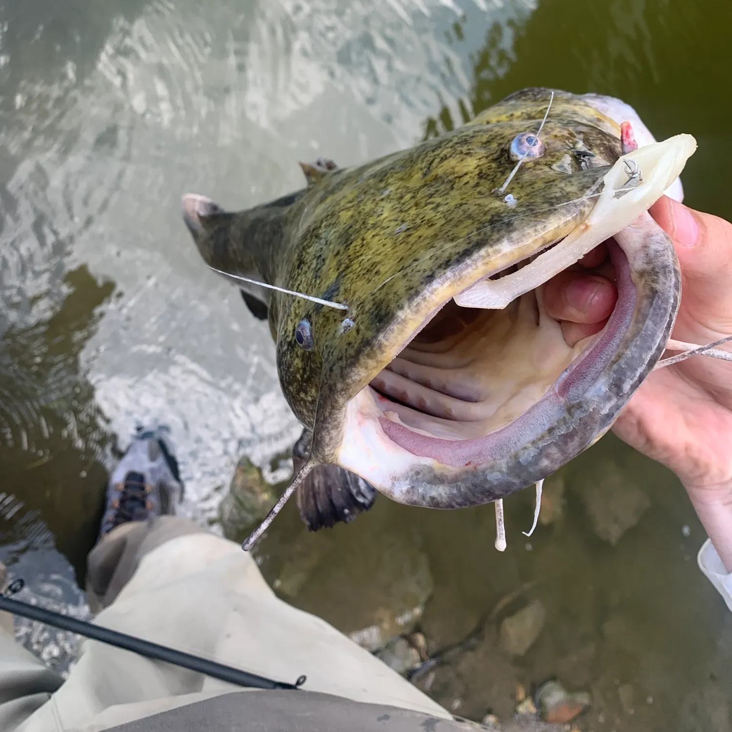 catch