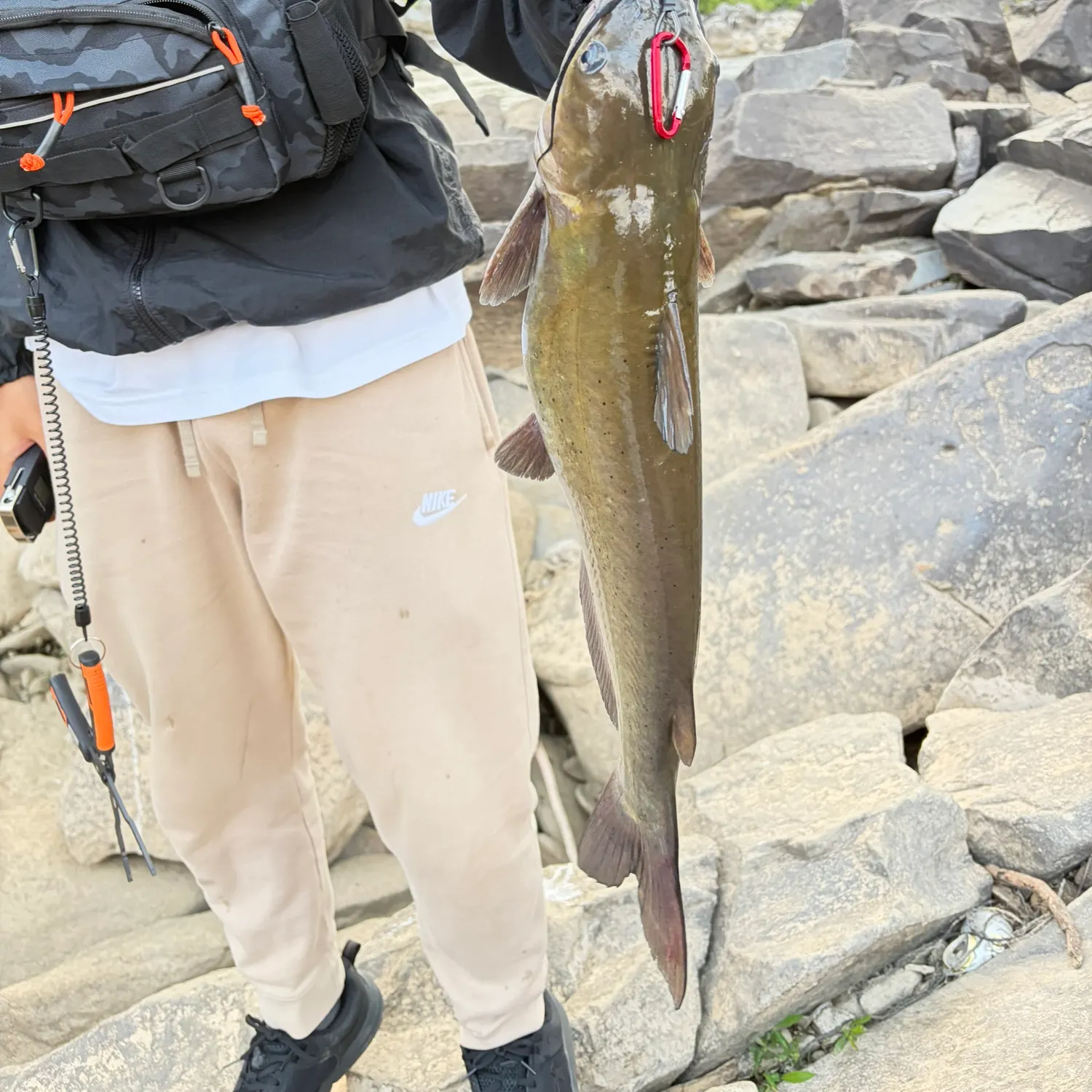 catch