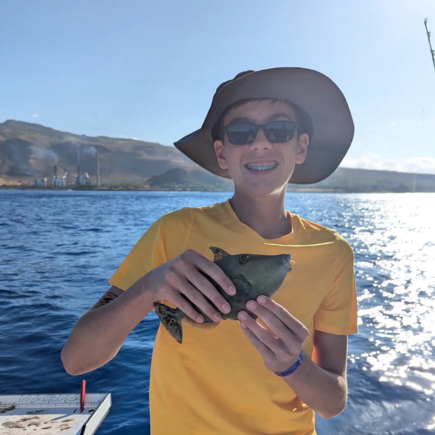 The most recent Black triggerfish catches on Fishbrain