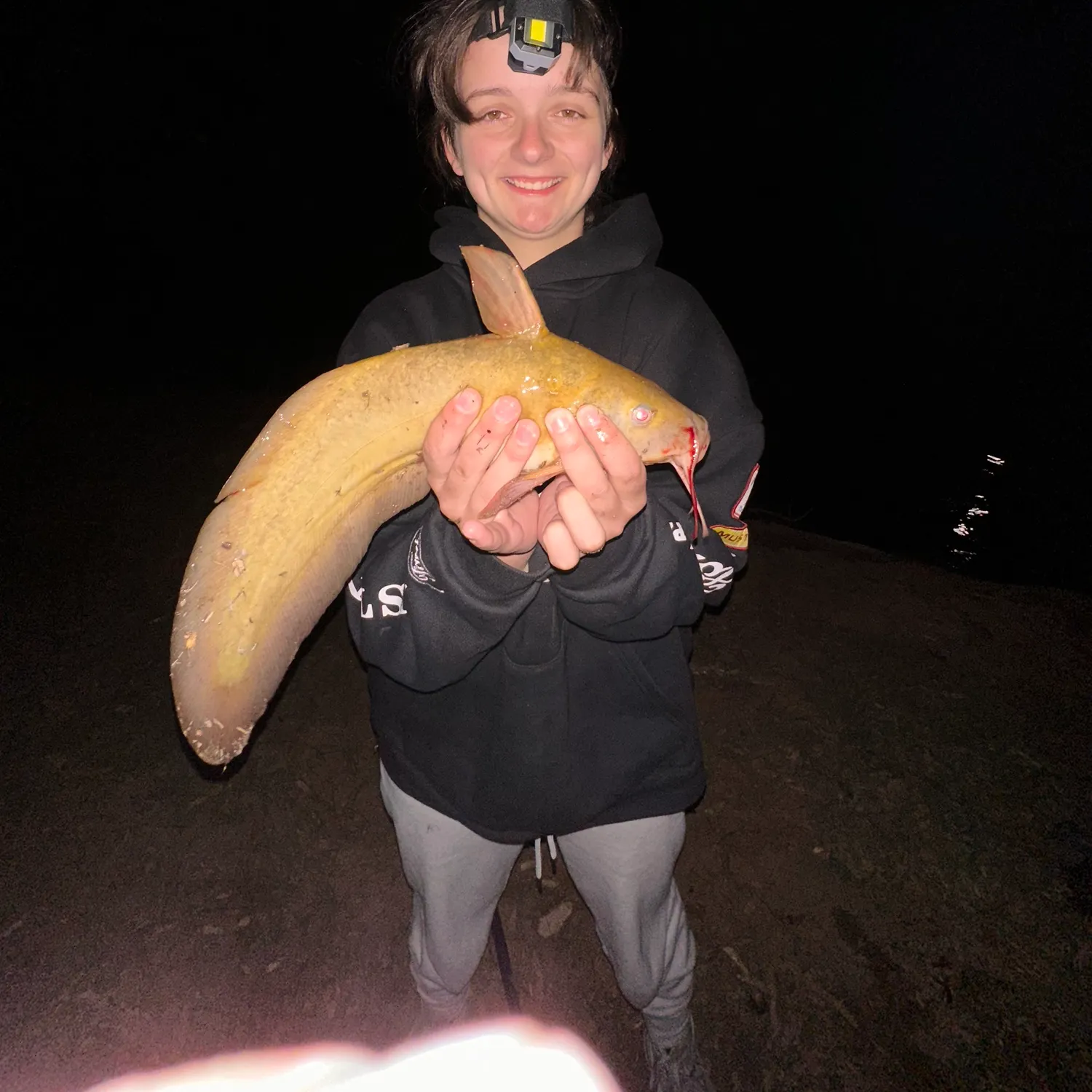 The most recent Dewfish catches on Fishbrain