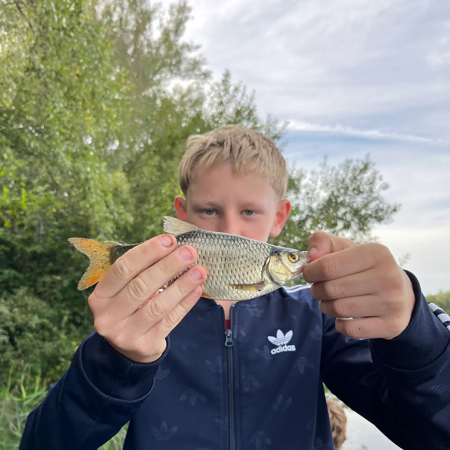Common roach caught on Fishbrain